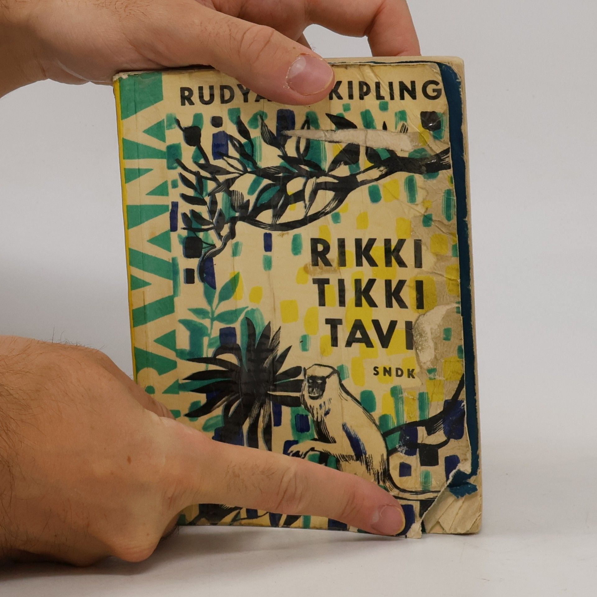 Rudyard Kipling Rikki-tikki-tavi a jiné povídky o zvířatech