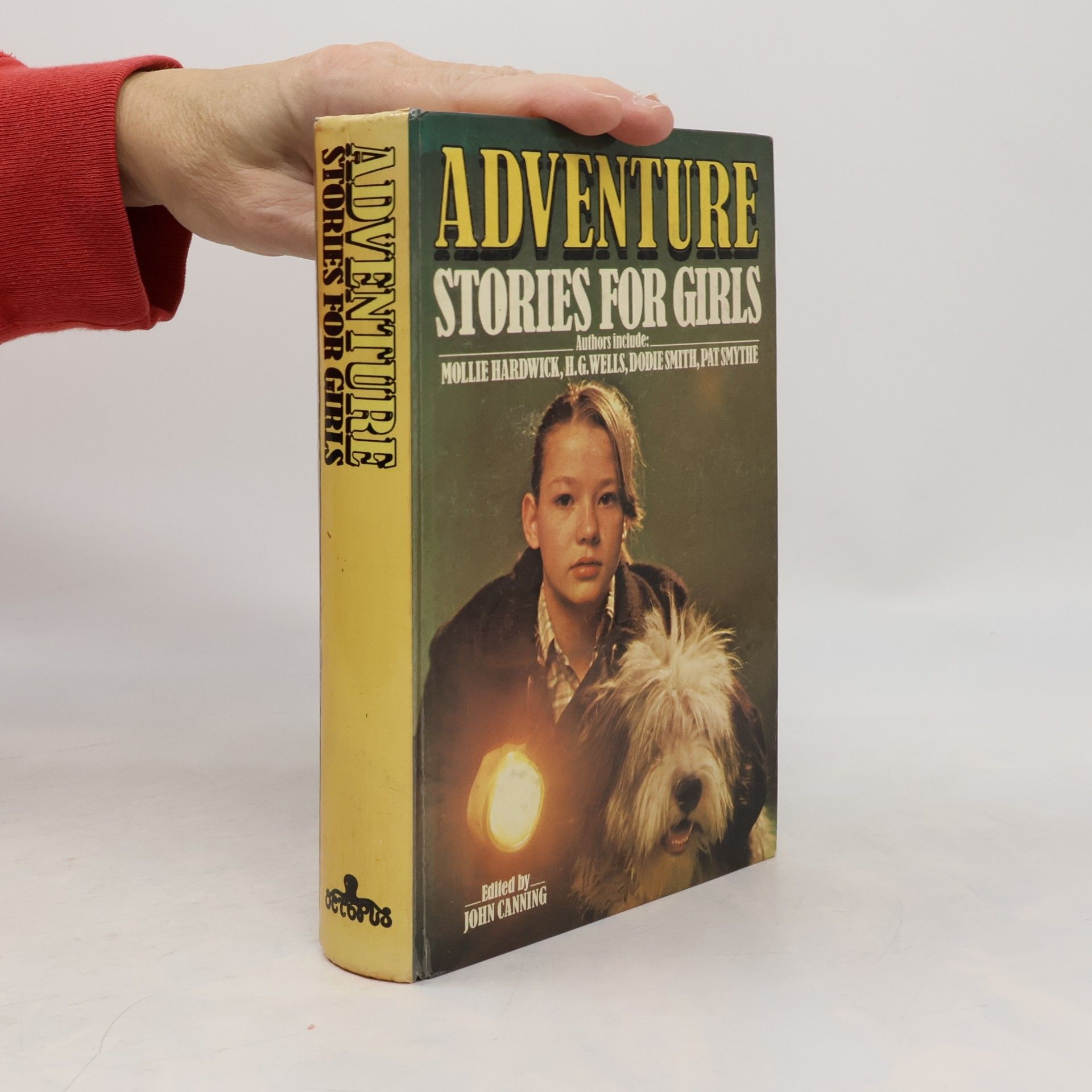 Various authors Adventure Stories for Girls