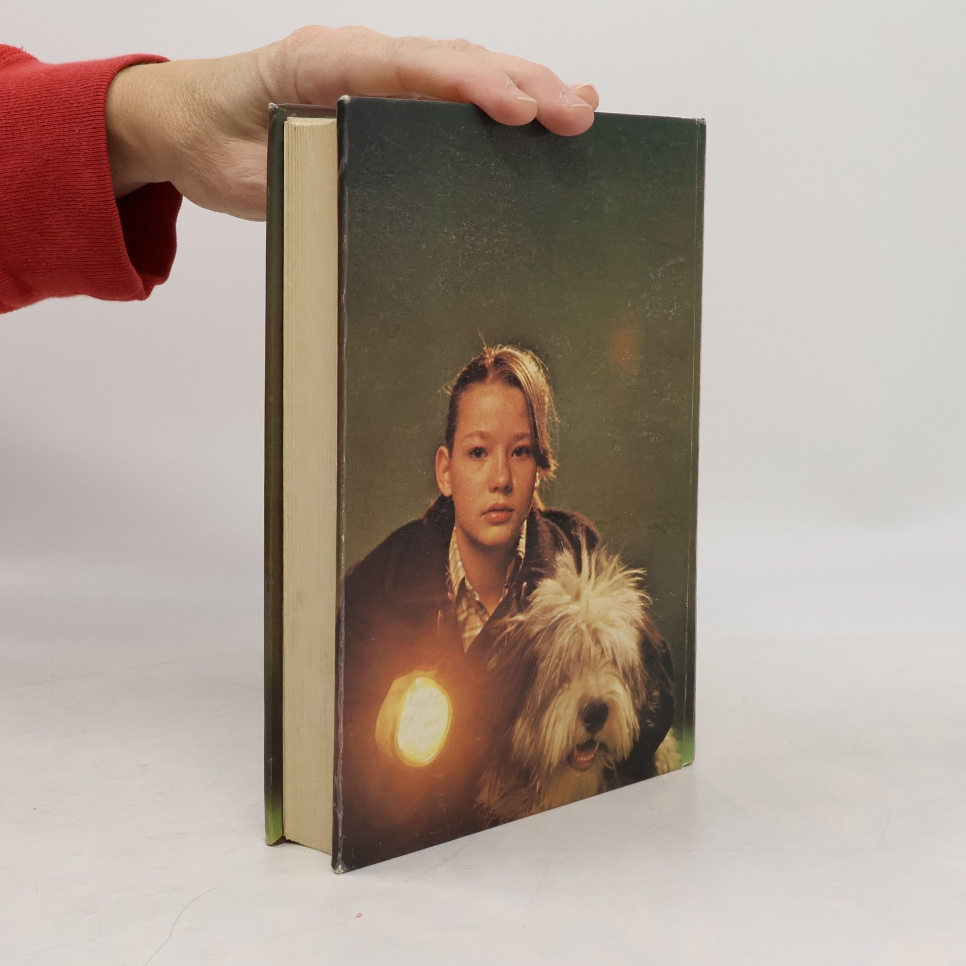 Autorenkollektiv Adventure Stories for Girls