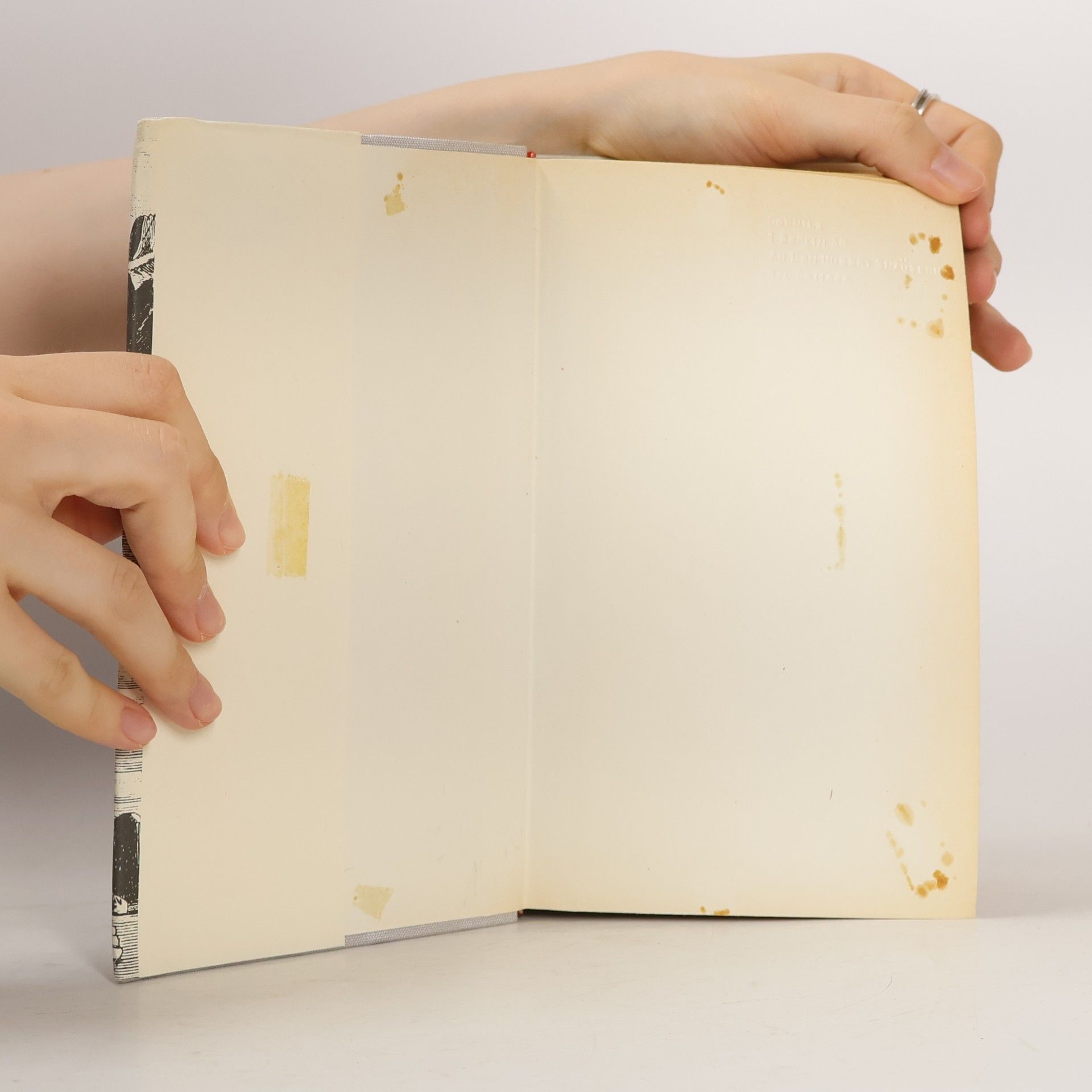 Various authors Das Gesicht der Erde 1