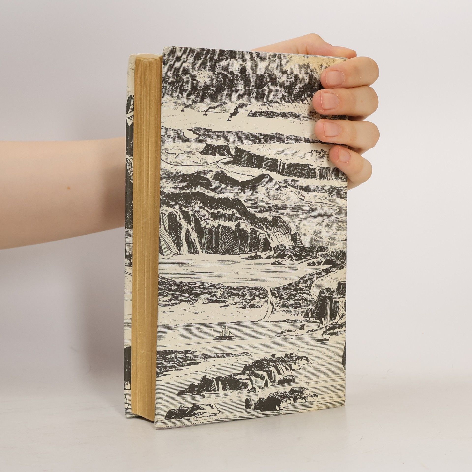 Various authors Das Gesicht der Erde 1