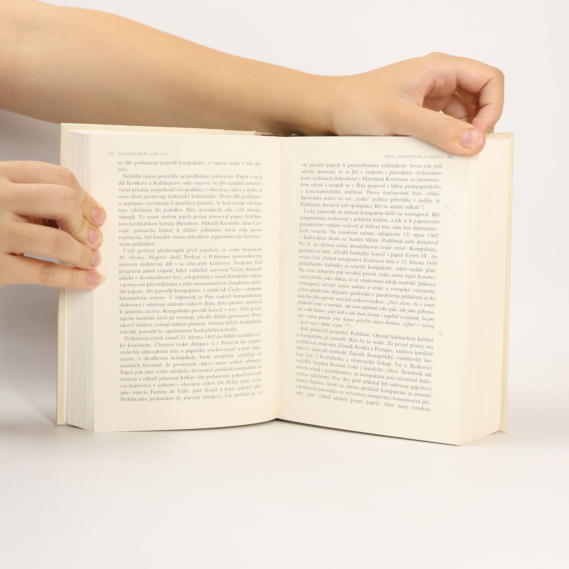 Autorenkollektiv Velké dějiny zemí Koruny české VI. 1437-1526