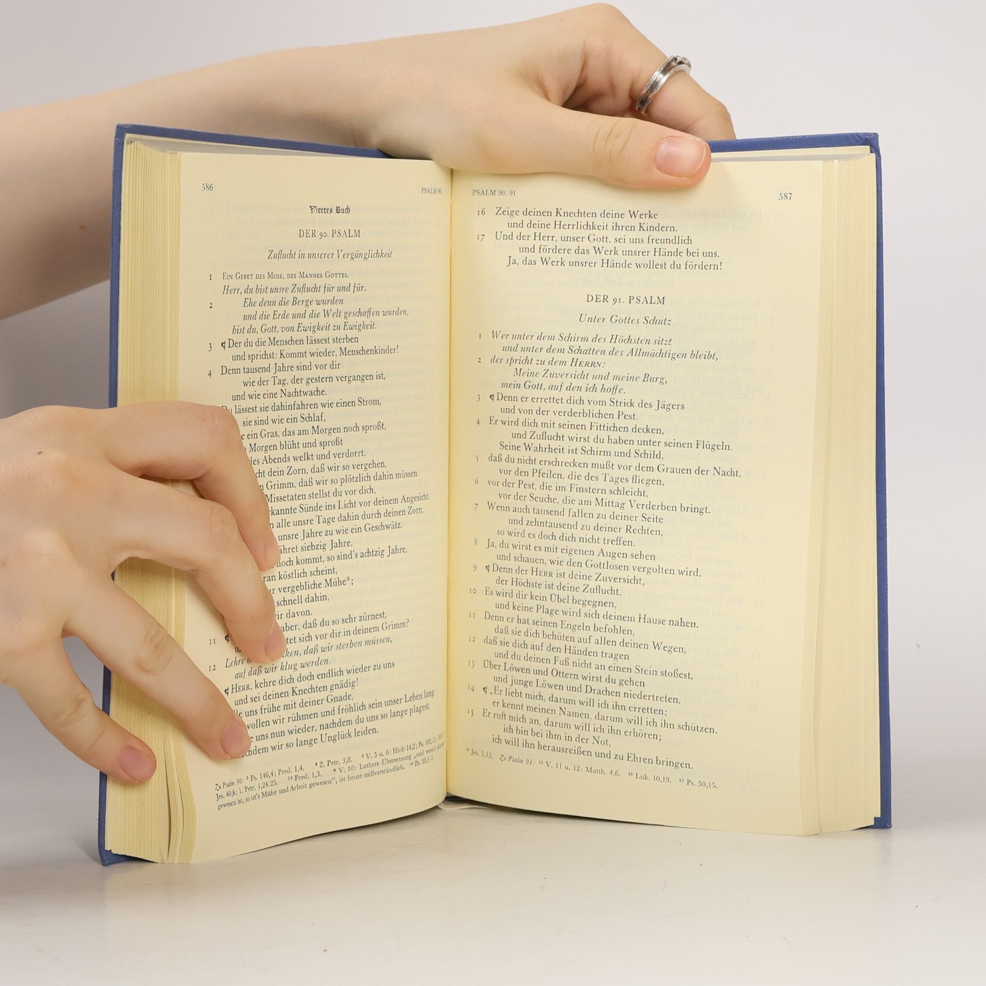 Martin Luther Die Bibel oder die ganze Heilige Schrift des Alten und Neuen Testaments