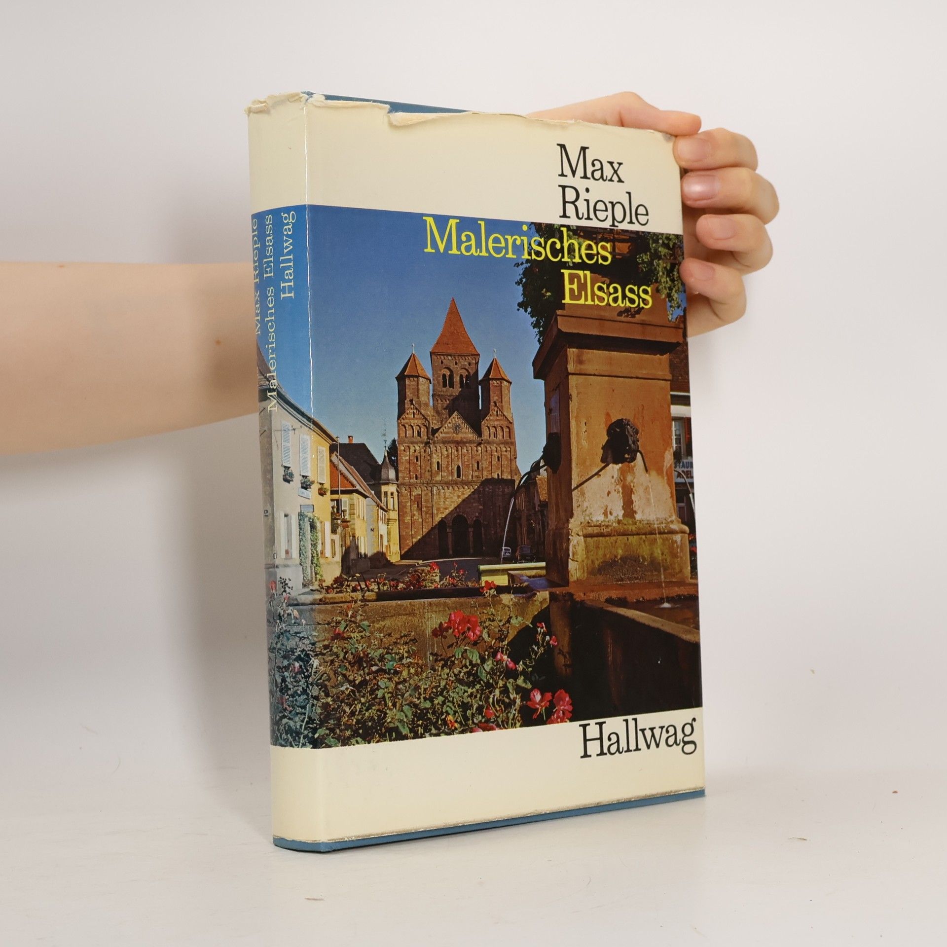 Max Rieple Malerisches Elsass