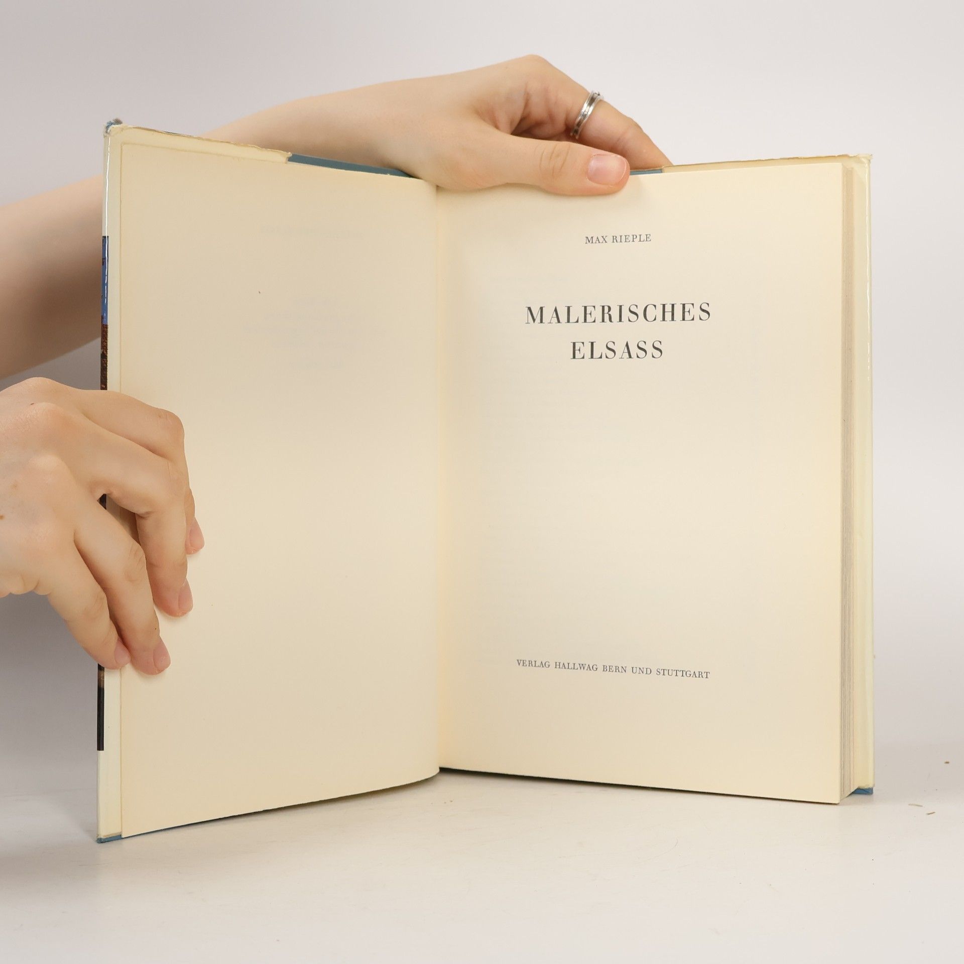 Max Rieple Malerisches Elsass
