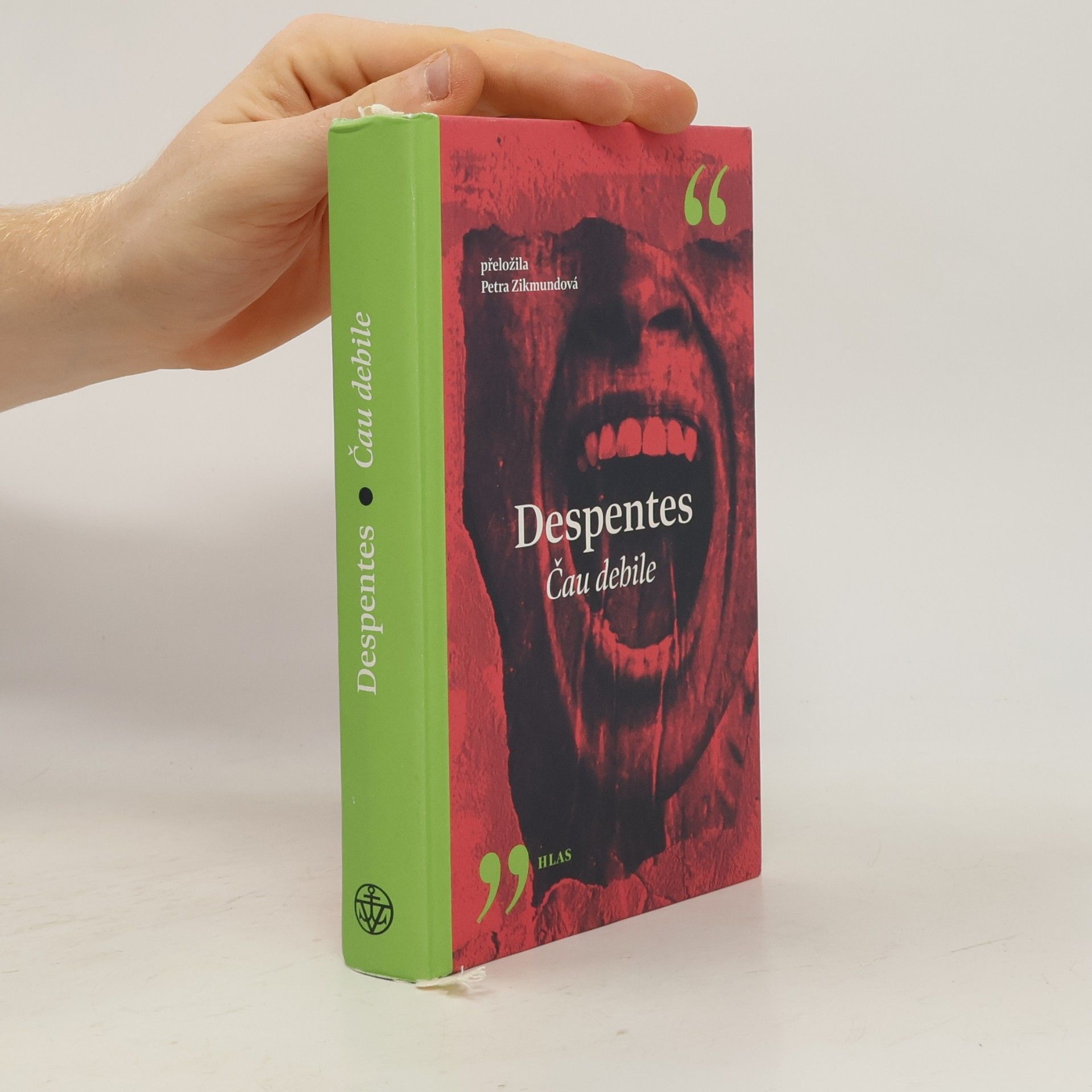 Virginie Despentes Čau debile
