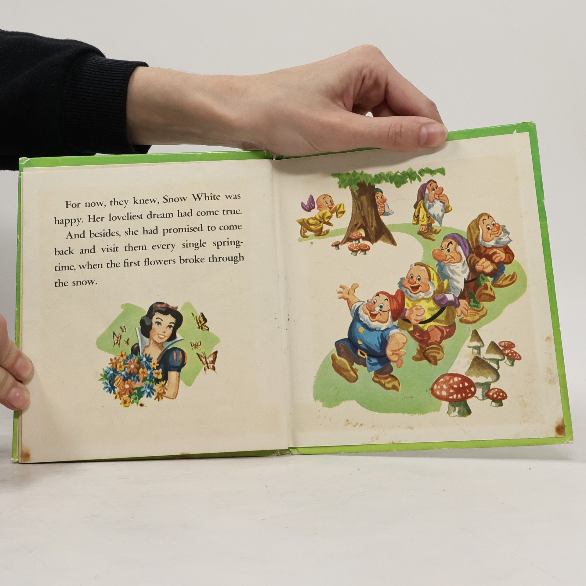 Walt Disney Snow White and the Seven Dwarfs