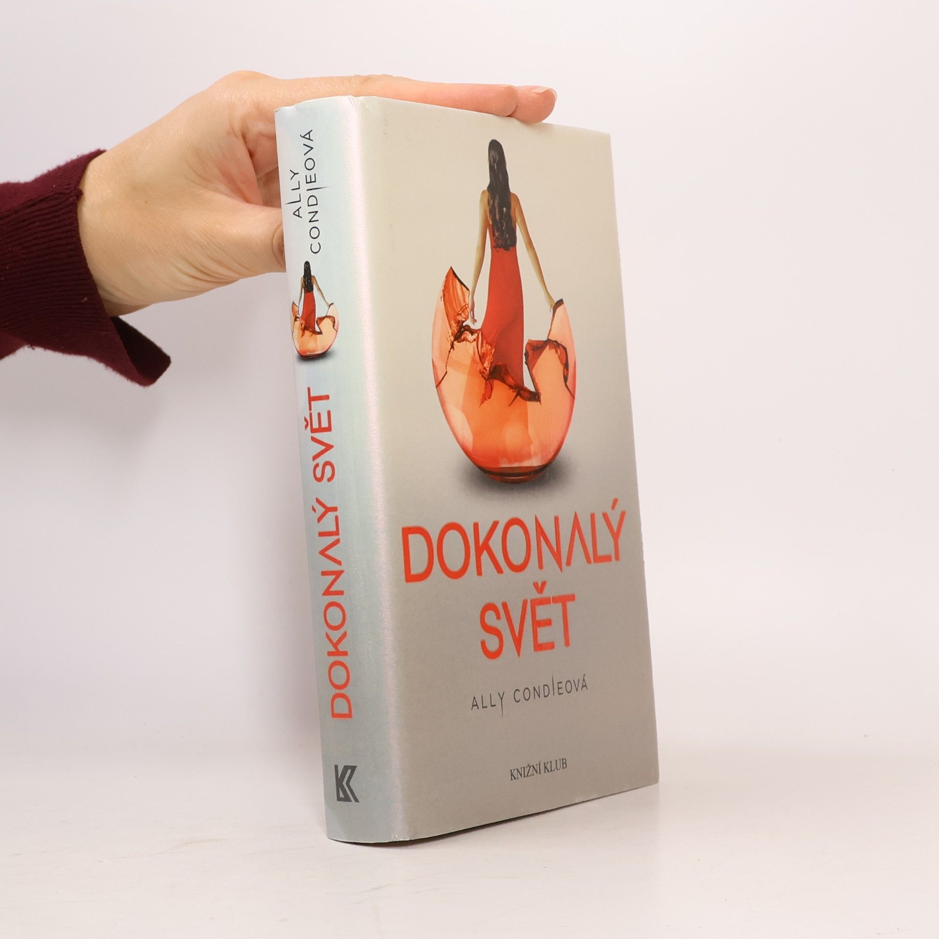 Dokonalý svět