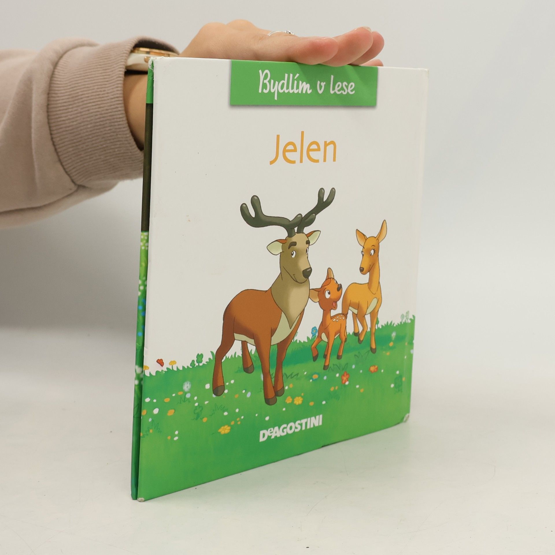 Autorenkollektiv Bydlím v lese. Jelen