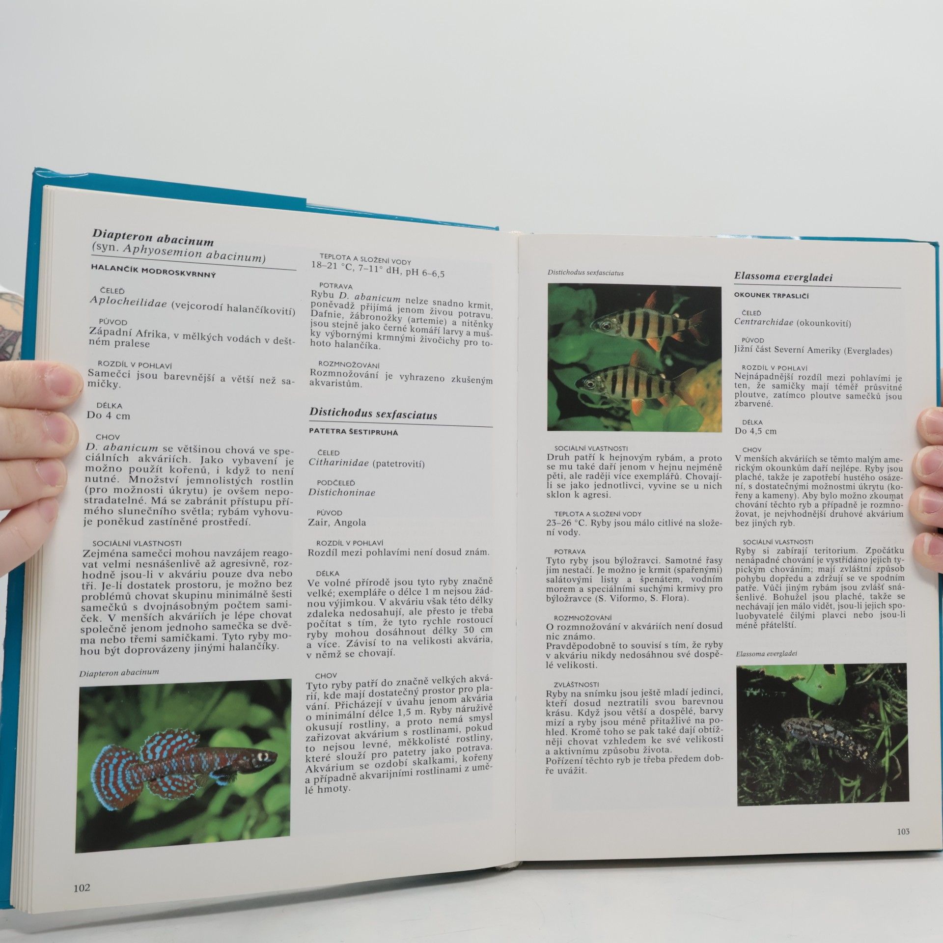 Esther Verhoef Encyklopedie akvarijních ryb