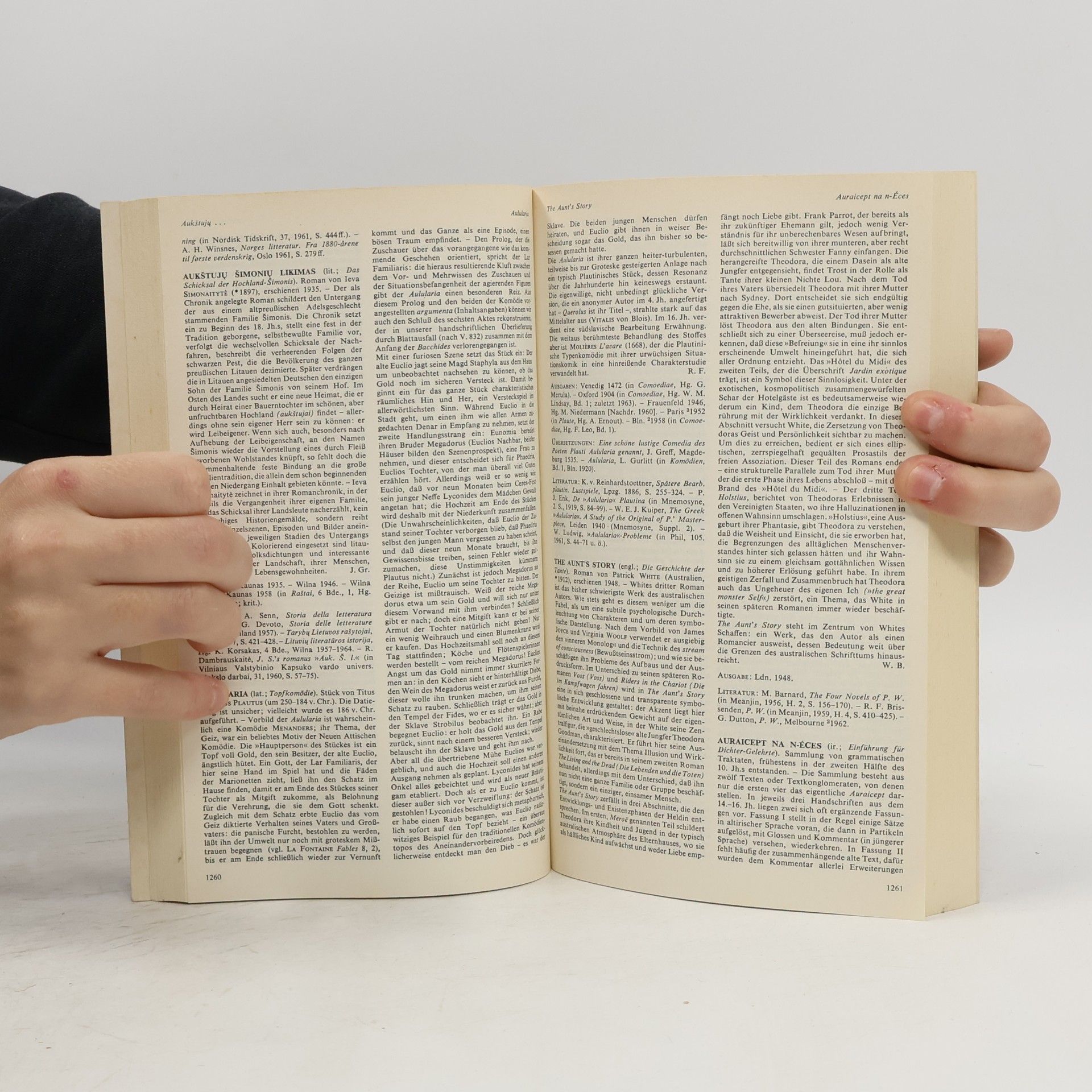 Kolektiv autorů Kindlers Literatur-Lexikon im dtv