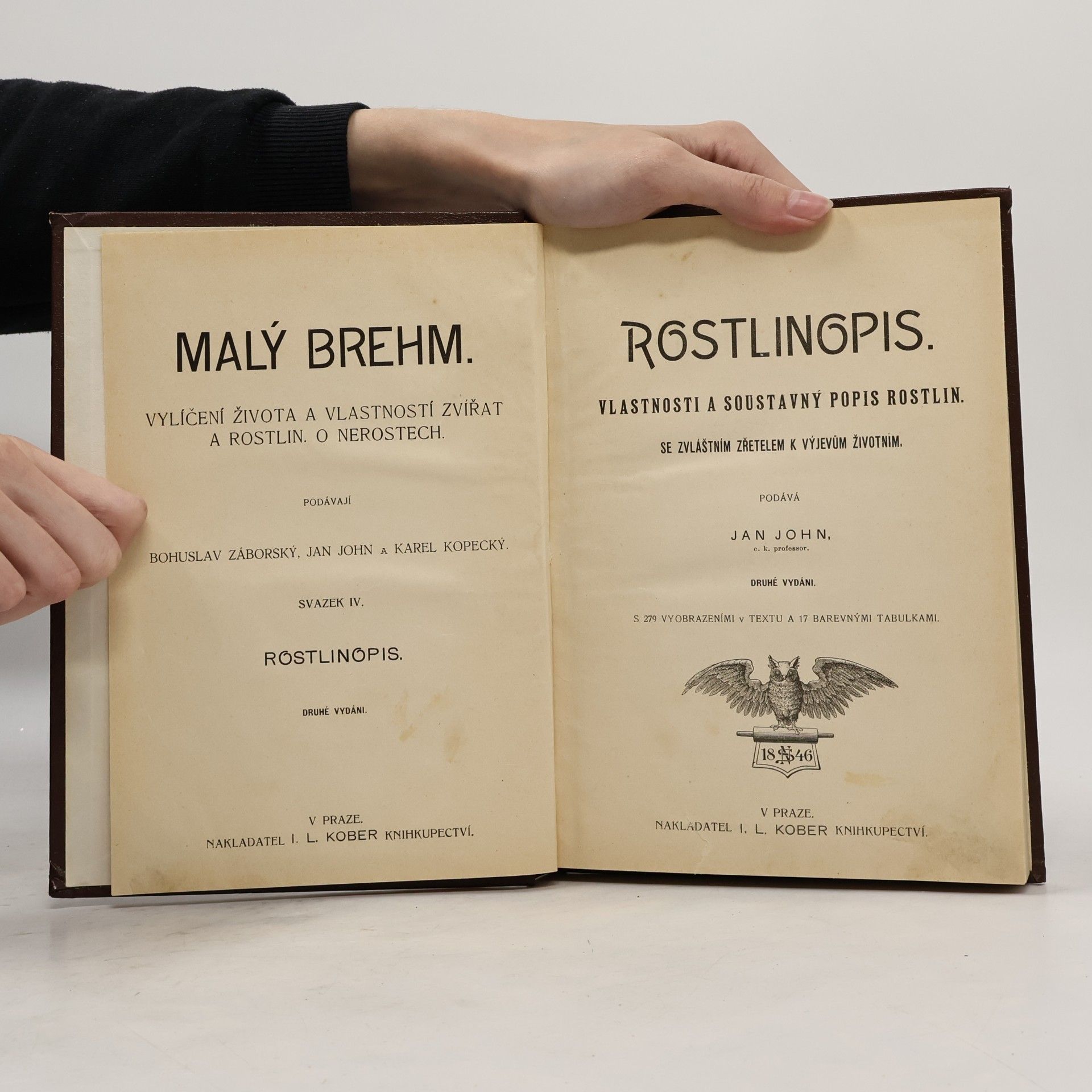 Bohuslav Záborský Malý Brehm : vylíčení života a vlastností zvířat a rostlin. O nerostech. Svazek IV. Rostlinopis.
