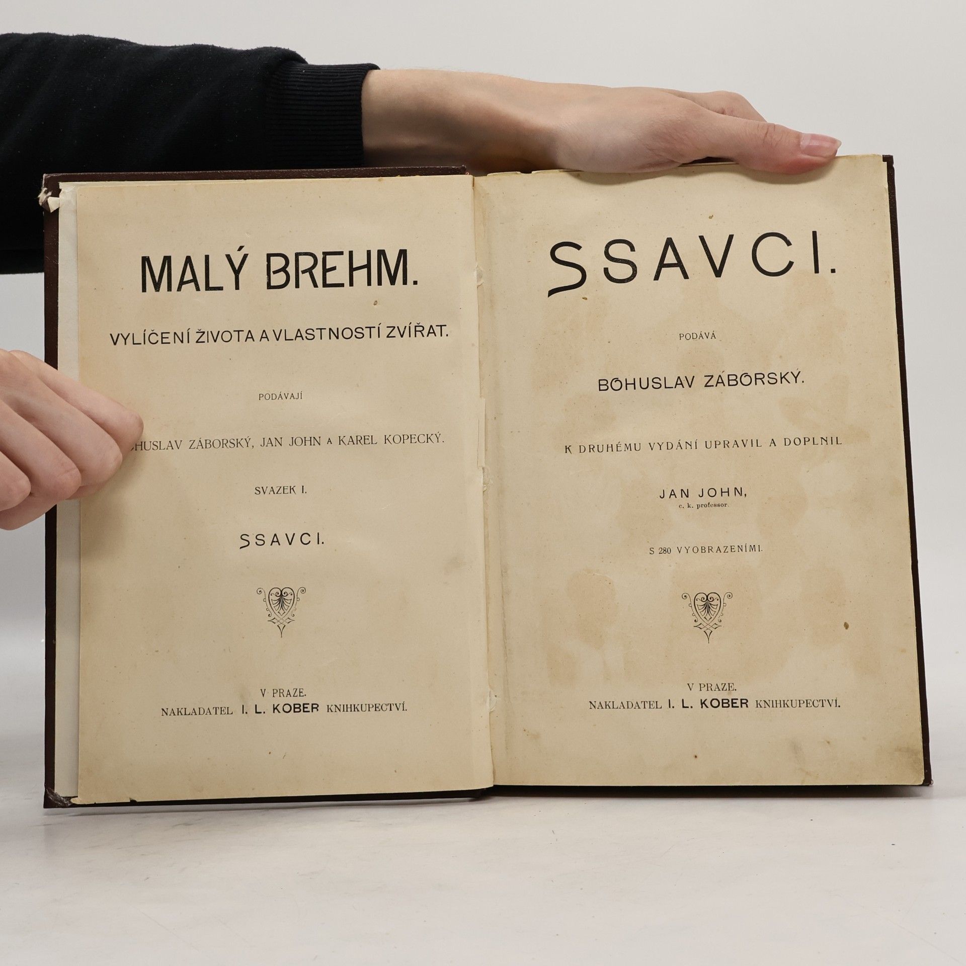 Bohuslav Záborský Malý Brehm I. Ssavci