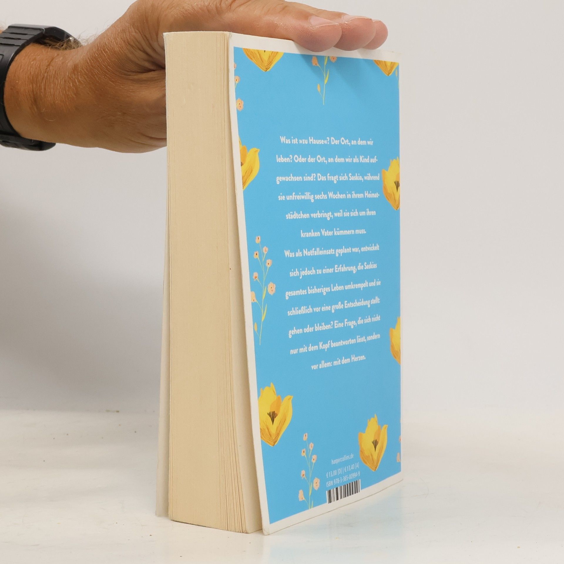 Anne Hertz Ein Morgen mit dir