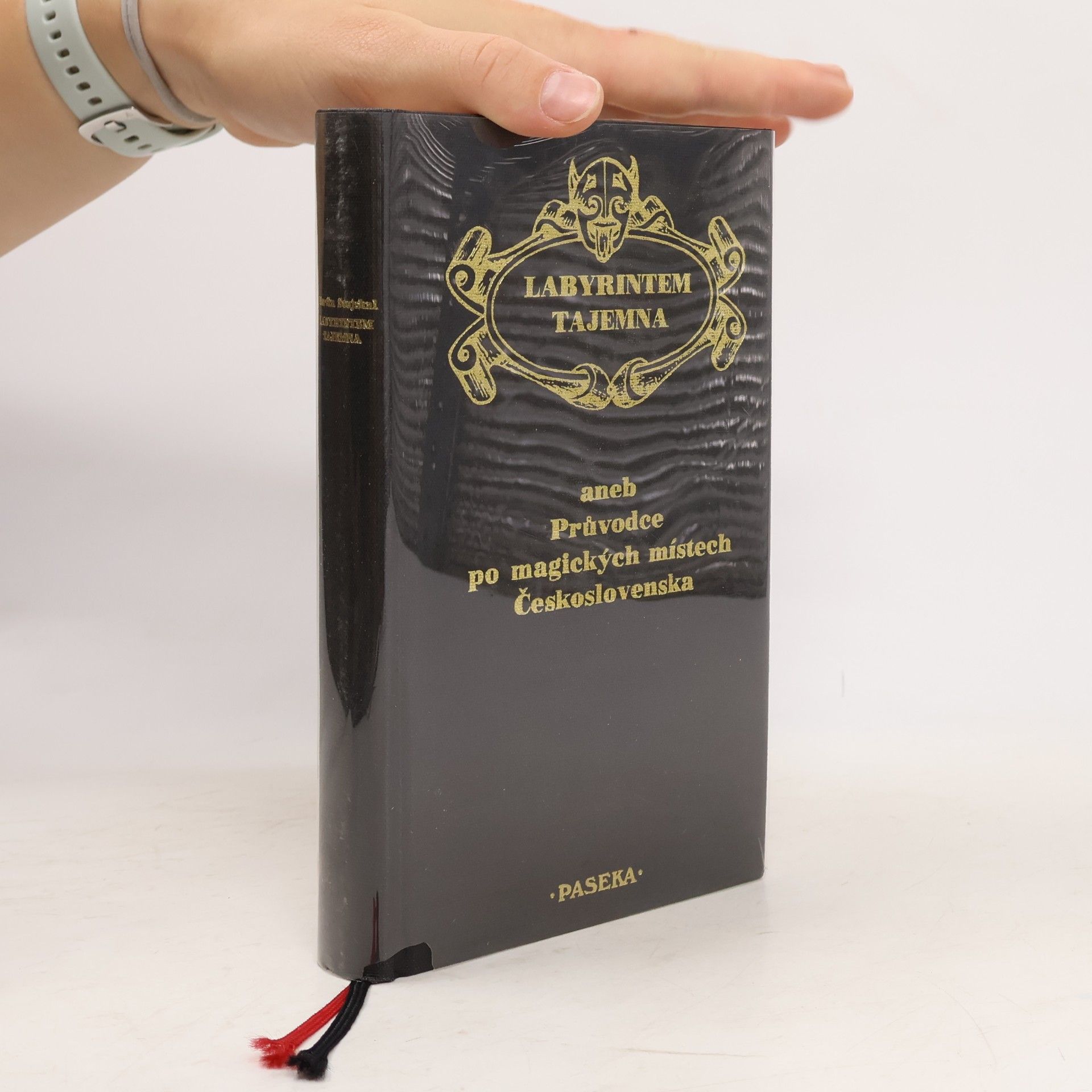 Labyrintem tajemna aneb Průvodce po magických místech Československa