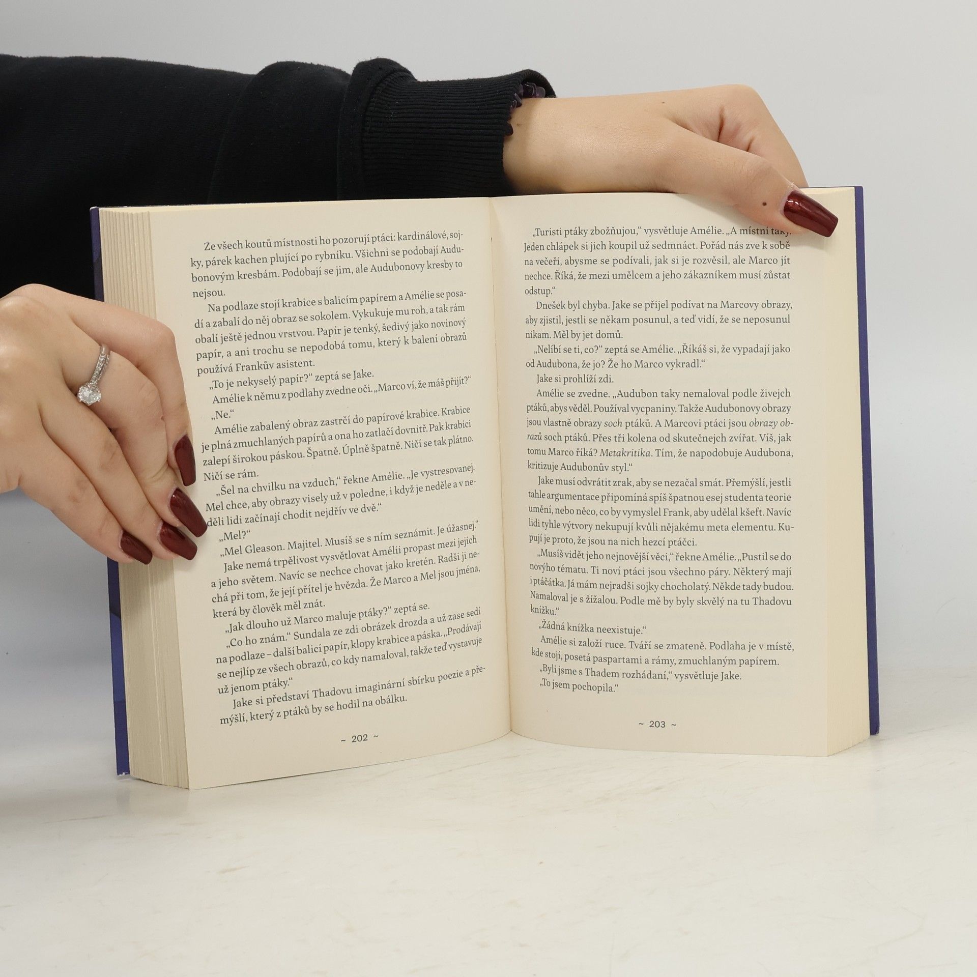 David James Poissant U jezera