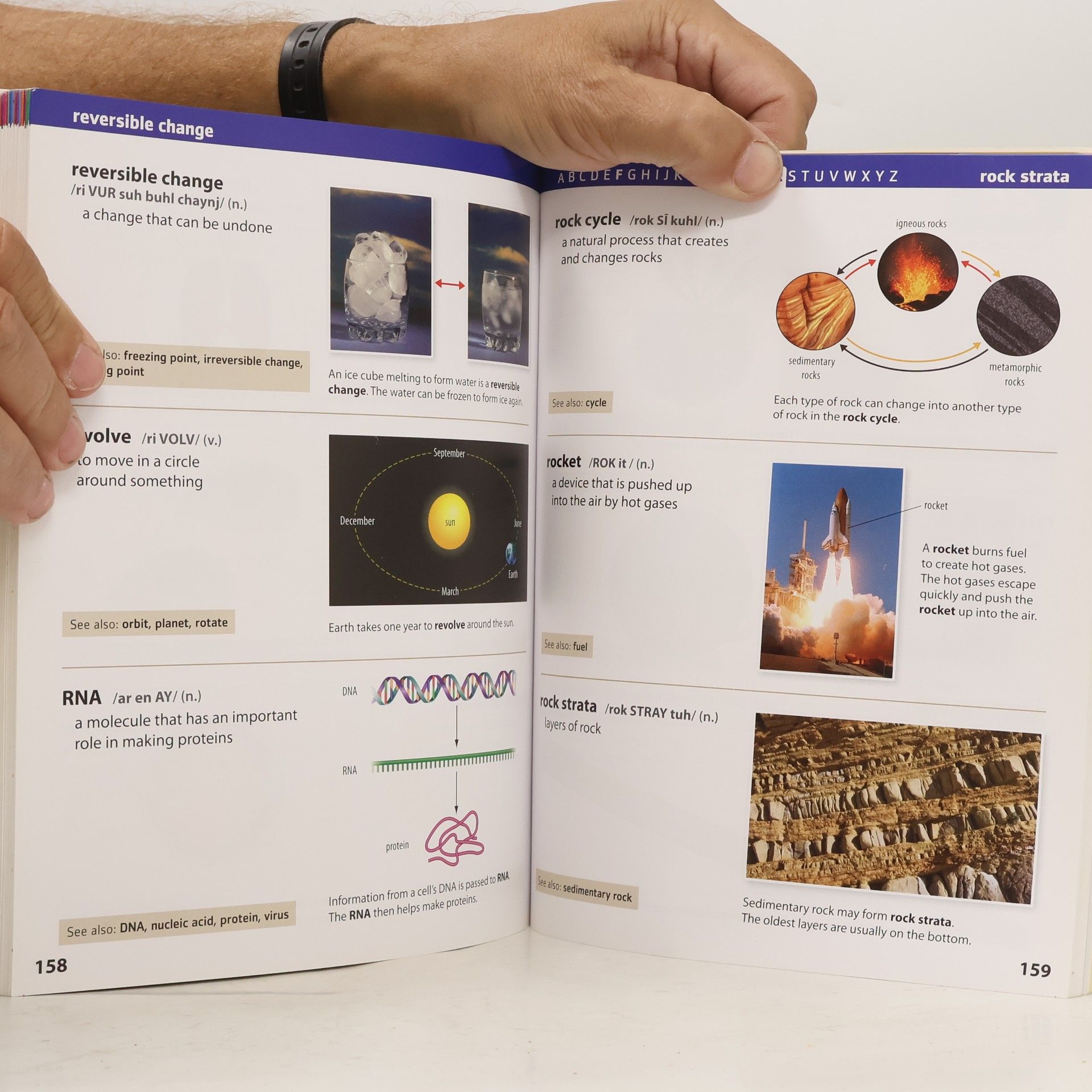Margarita Calderón Oxford Illustrated Dictionaries: Oxford Illustrated Science Dictionary