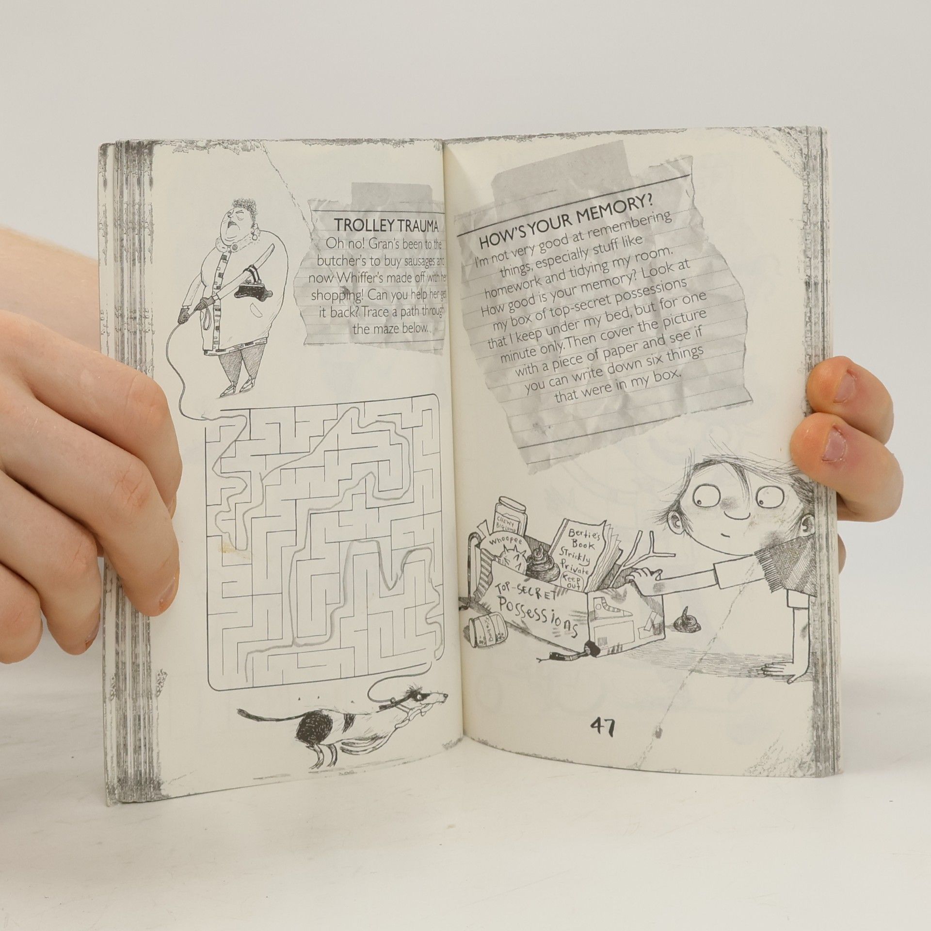 David Roberts Dirty Bertie: My Book of Stuff