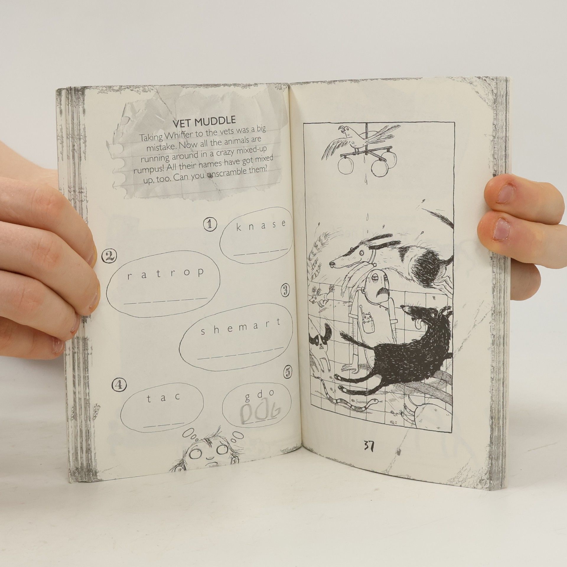David Roberts Dirty Bertie: My Book of Stuff