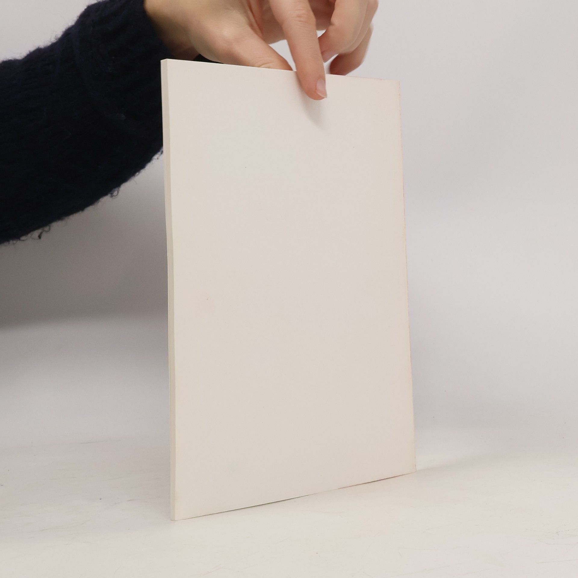 kolektiv Demokratie in kurzen Hosen