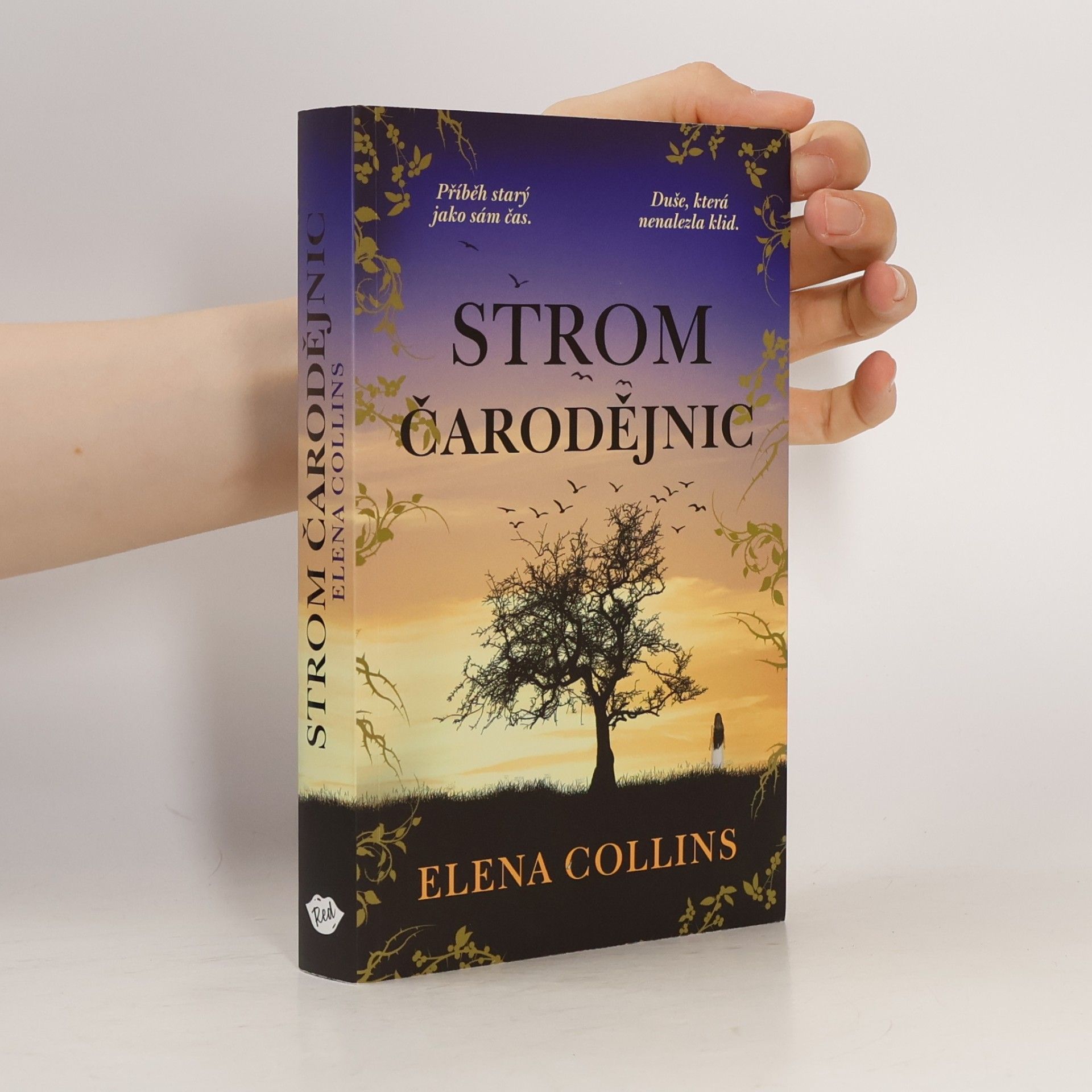 Strom čarodějnic