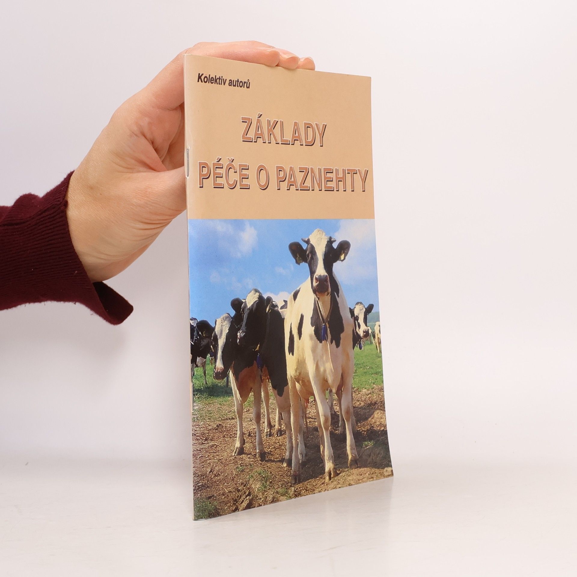kolektiv autorů Základy péče o paznehty