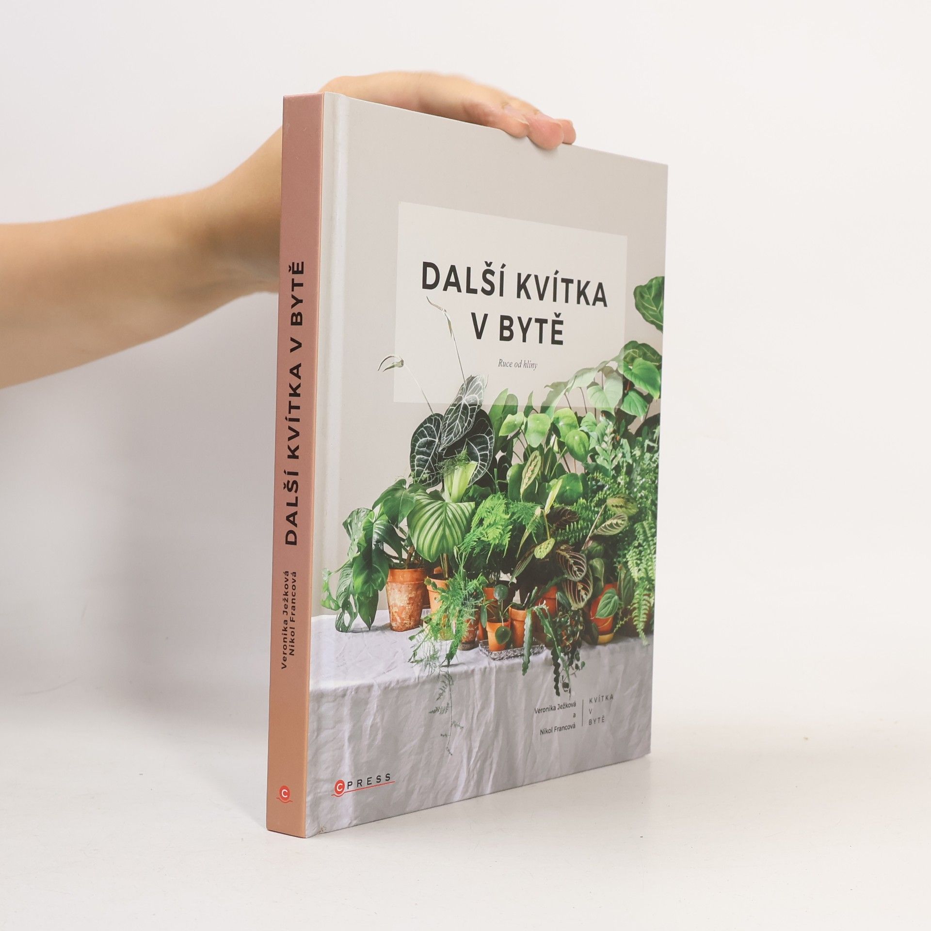 Nikol Francová Další kvítka v bytě : Ruce od hlíny