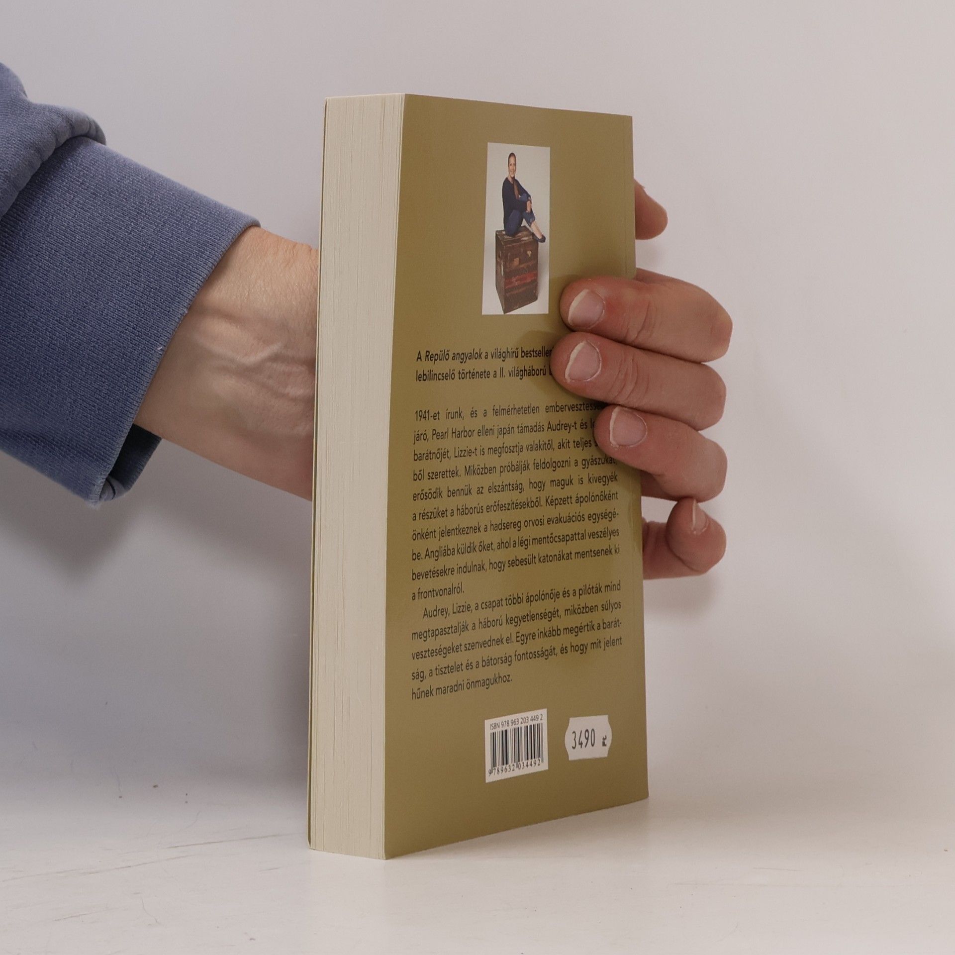 Danielle Steel Repülő angyalok