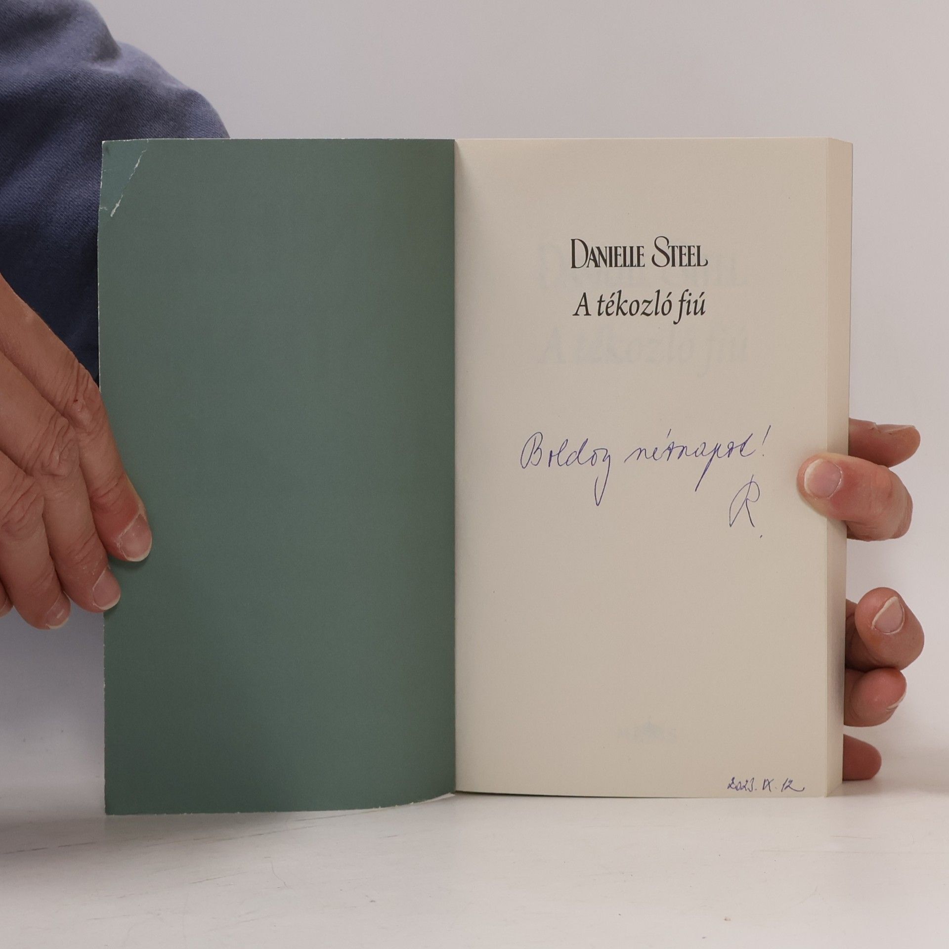 Danielle Steel A tékozló fiú