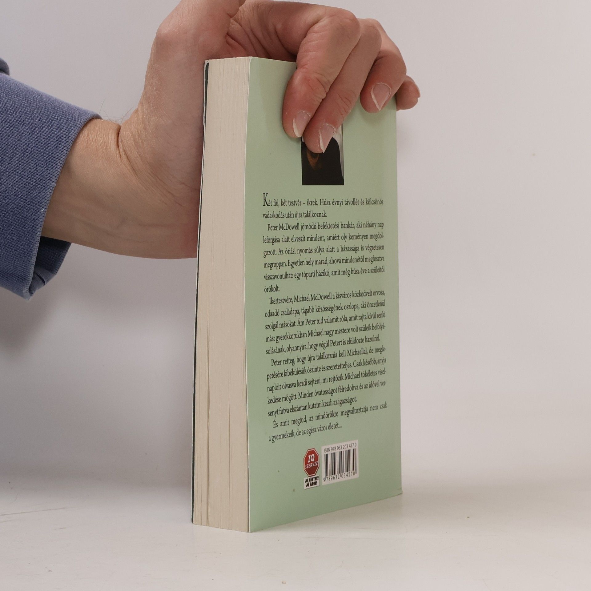 Danielle Steel A tékozló fiú