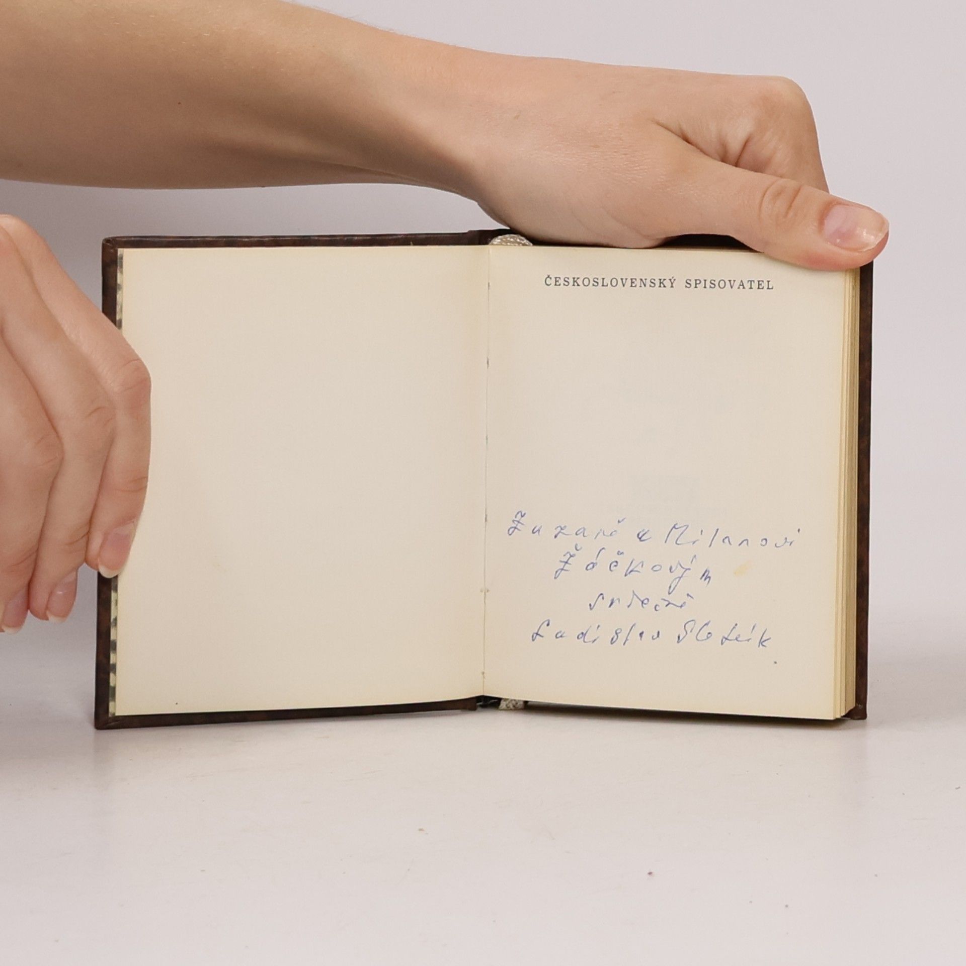 Bohumil Jirásek Ladislav Stehlík. Portréty spisovatelů
