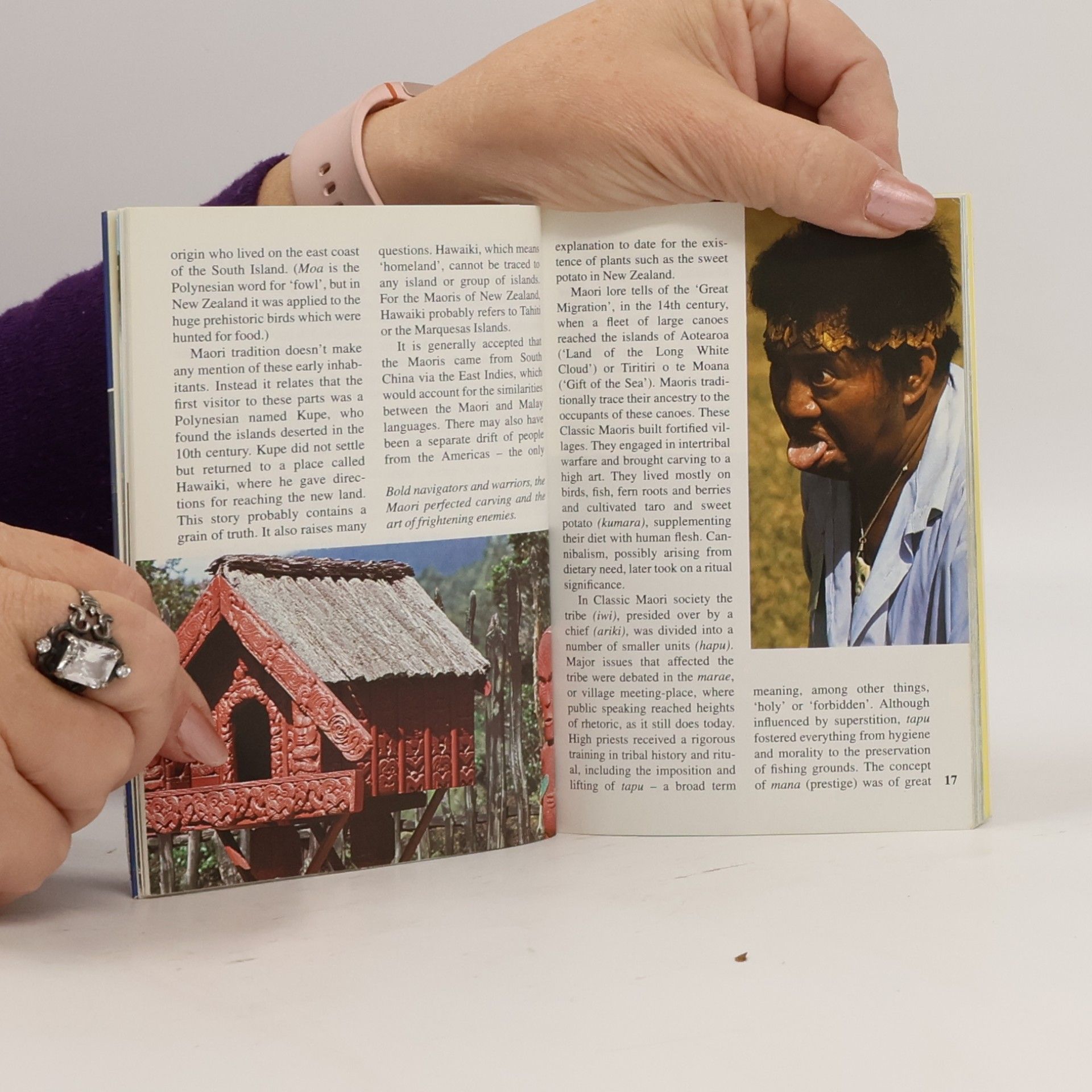 Christina Jackson Berlitz Pocket Guides: New Zealand