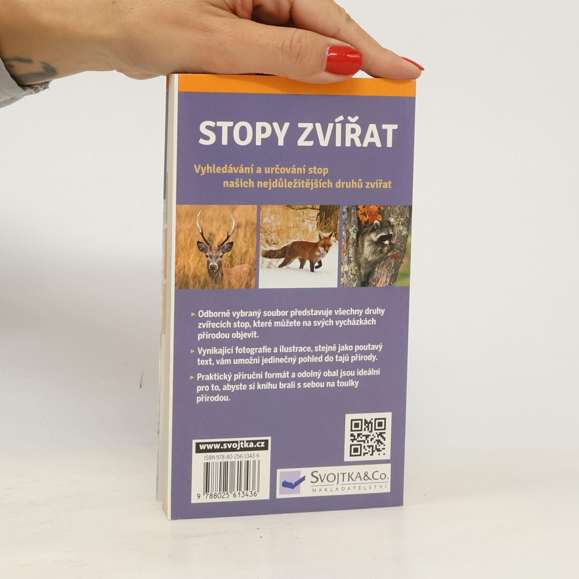 Martin Laußer Stopy zvířat
