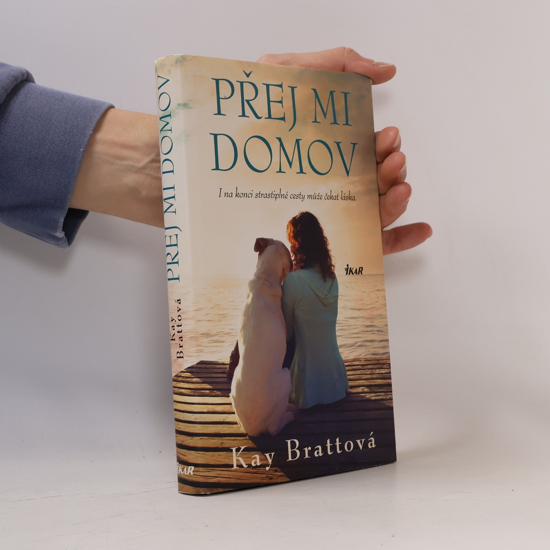 Kay Bratt Přej mi domov