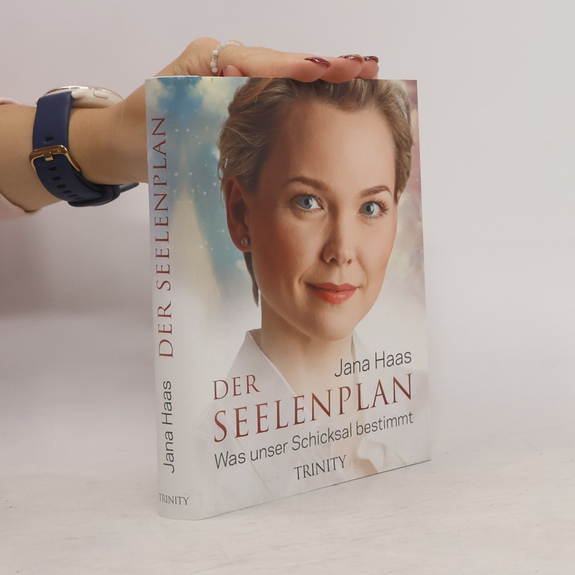 Der Seelenplan