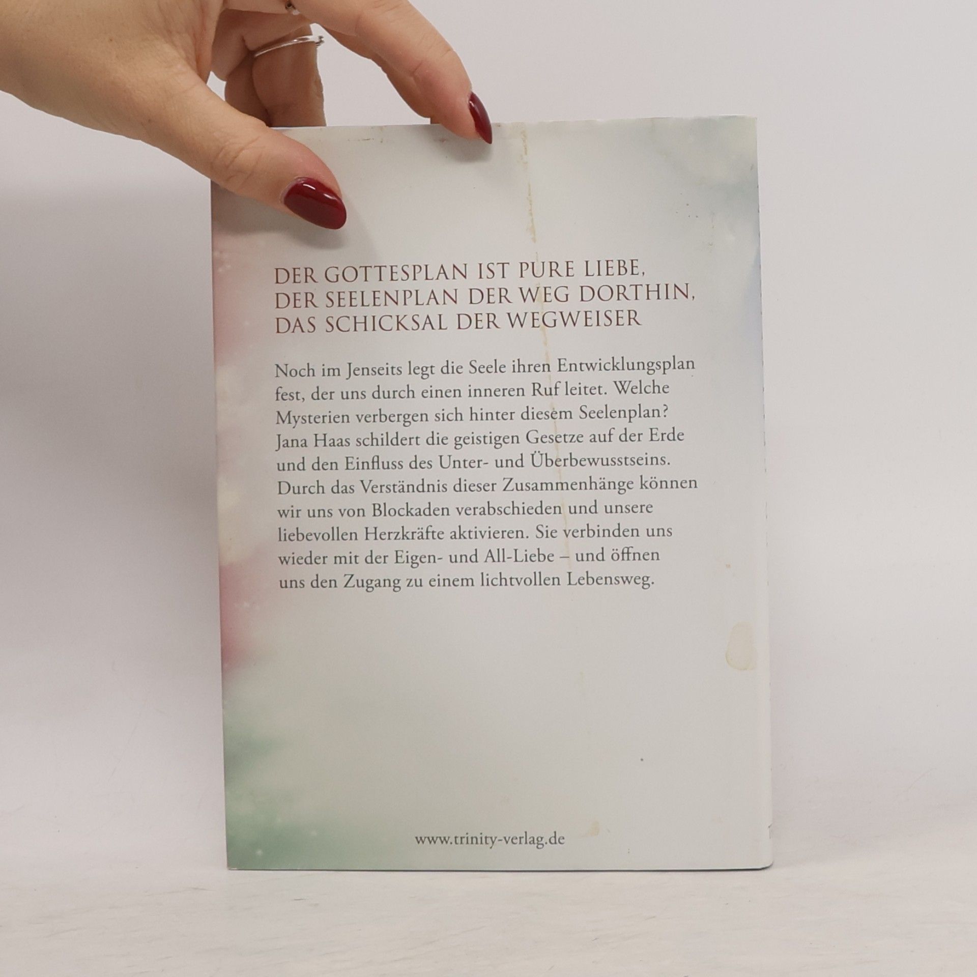 Jana Haas Der Seelenplan