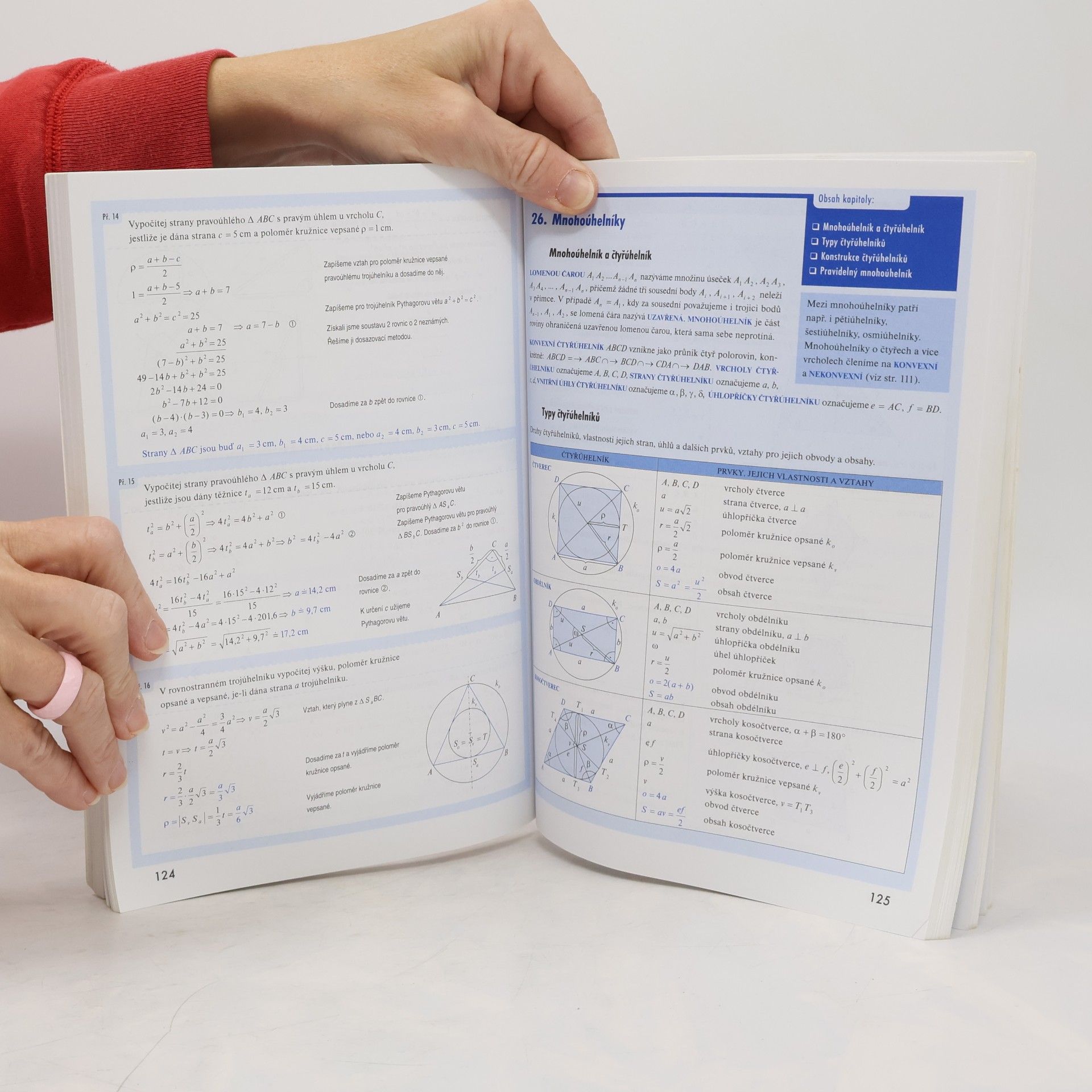 Pavel Čermák Odmaturuj! z matematiky 1