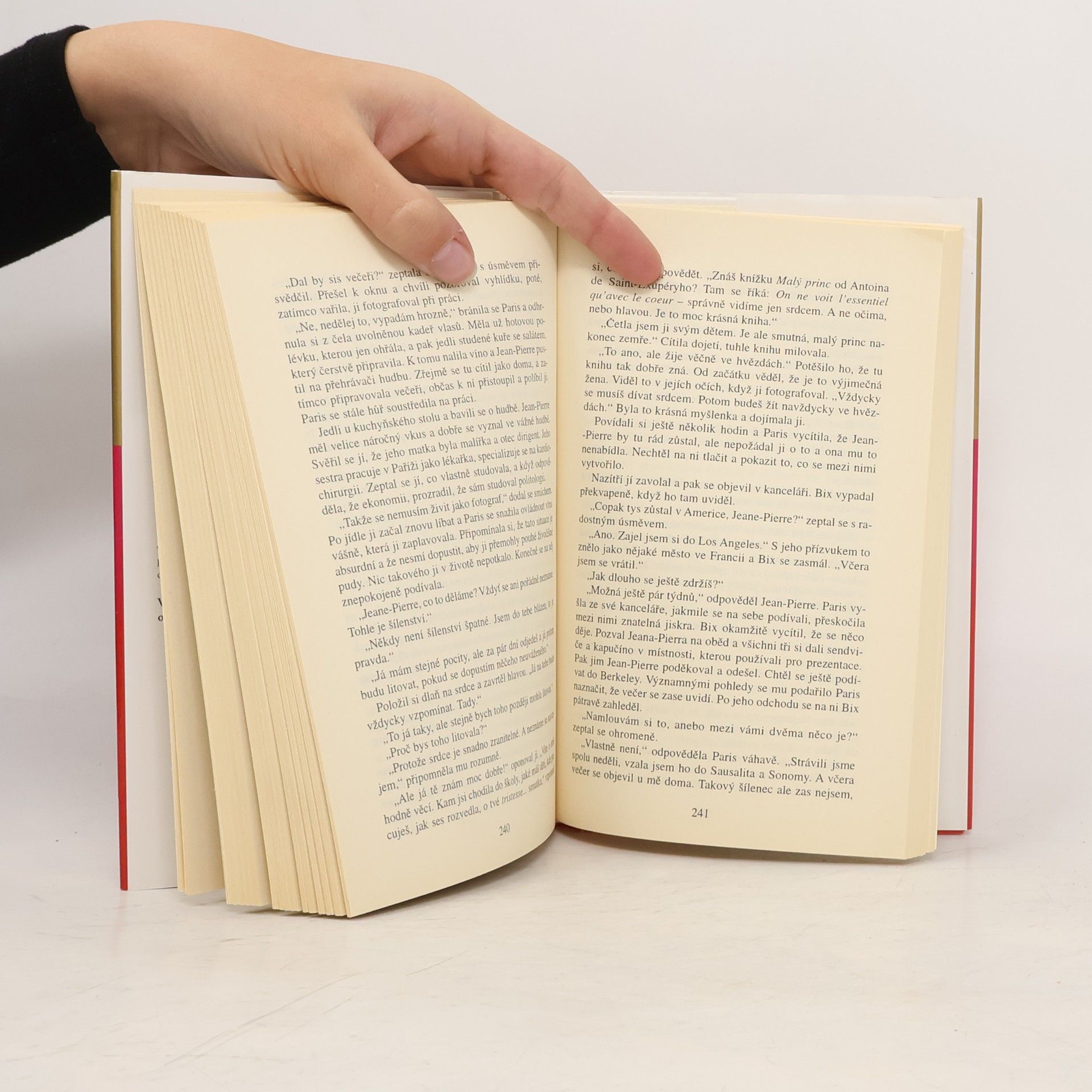 Danielle Steel Správná volba