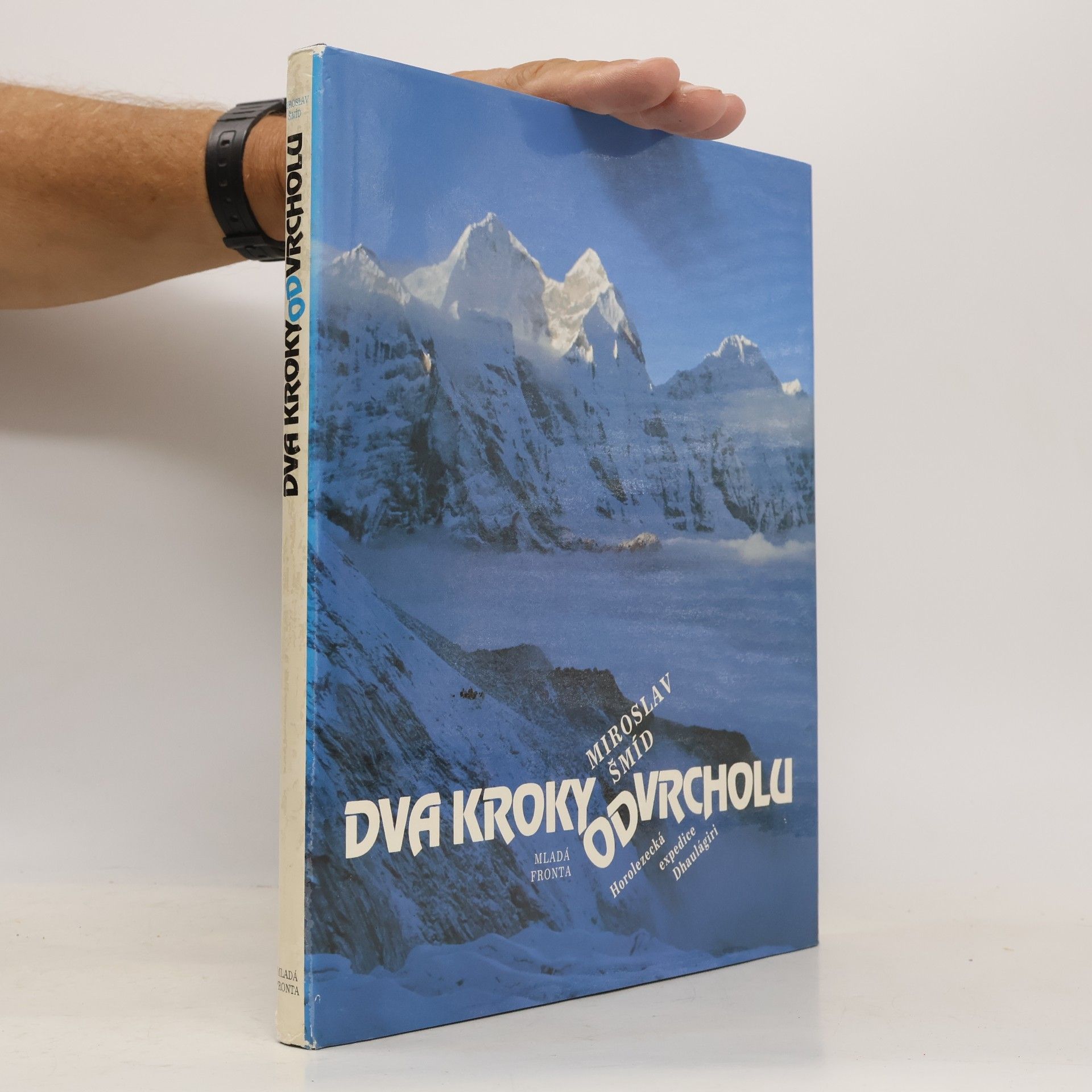 Dva kroky od vrcholu