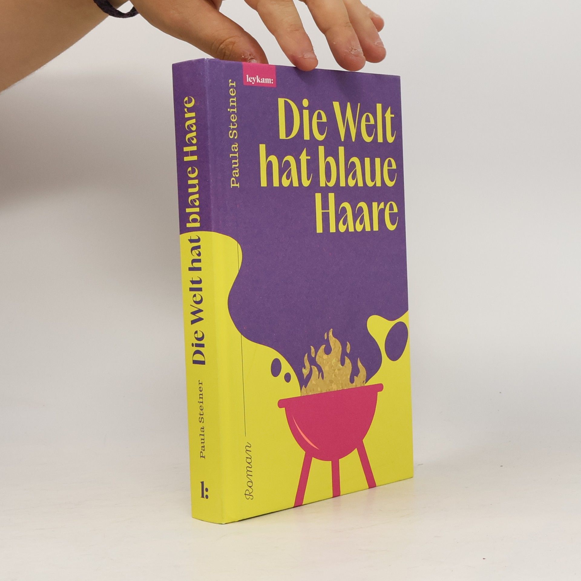 Paula Steiner Die Welt hat blaue Haare. Roman