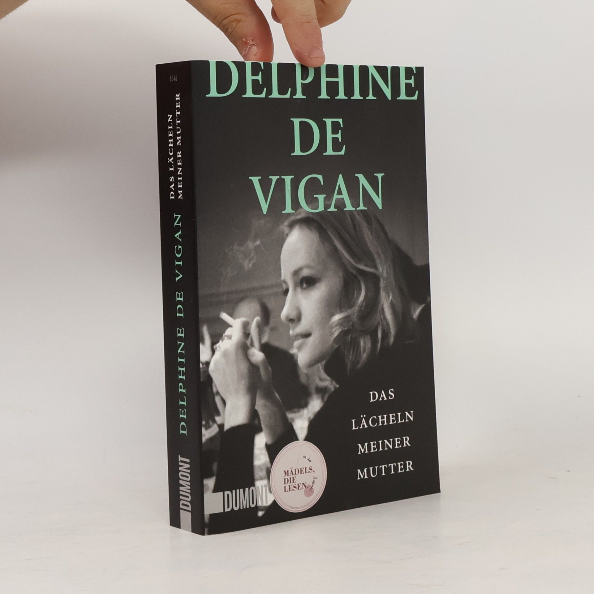 Delphine de Vigan Das Lächeln meiner Mutter