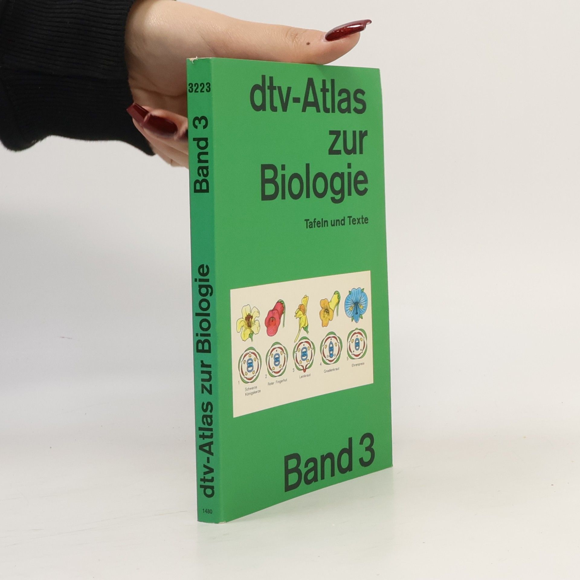 Günter Vogel dtv-Atlas zur Biologie 3