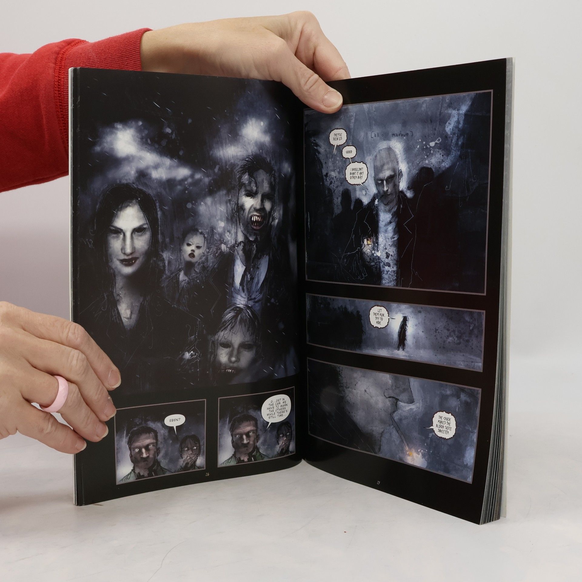 Steve Niles 30 Days of Night