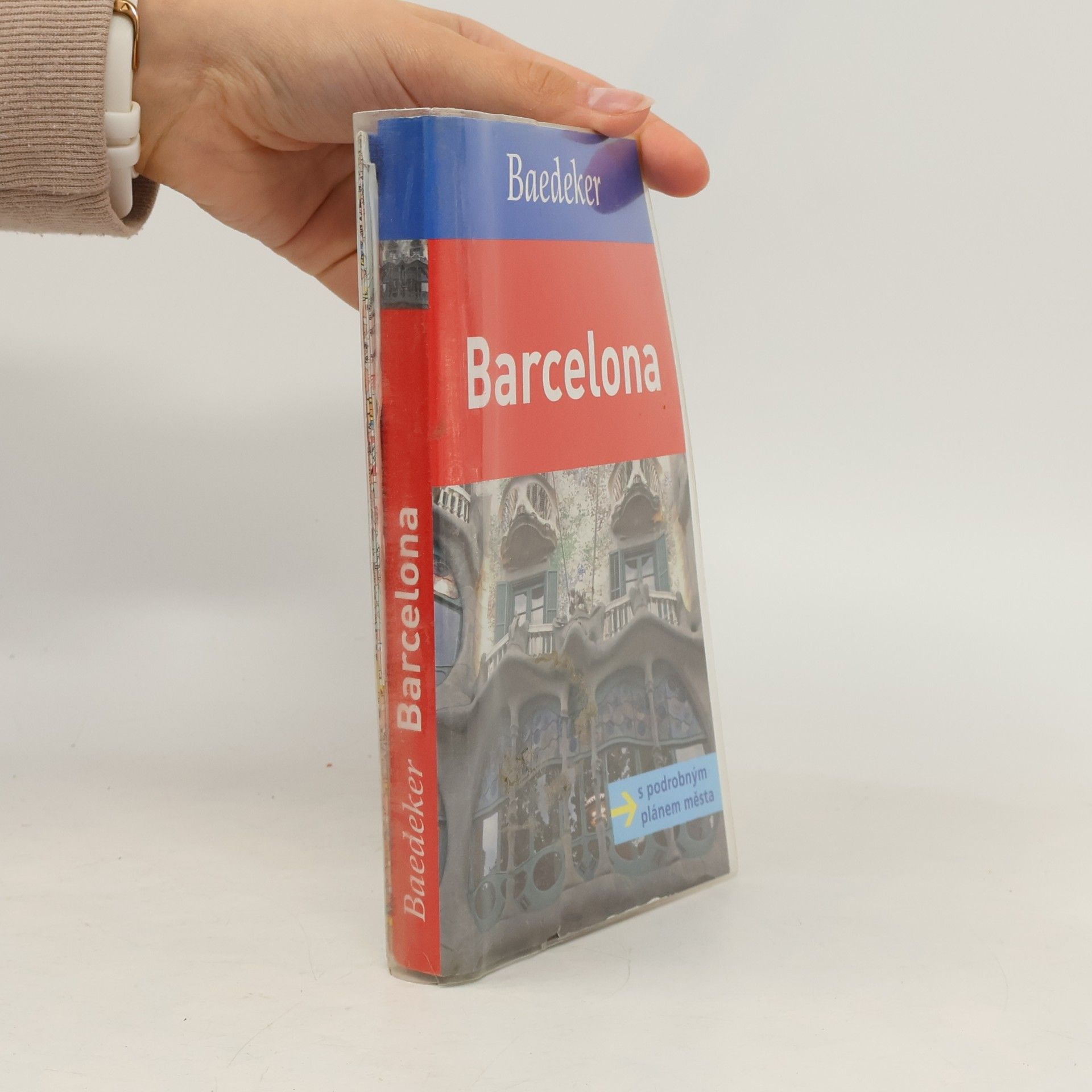 Dorothea Massmann Barcelona