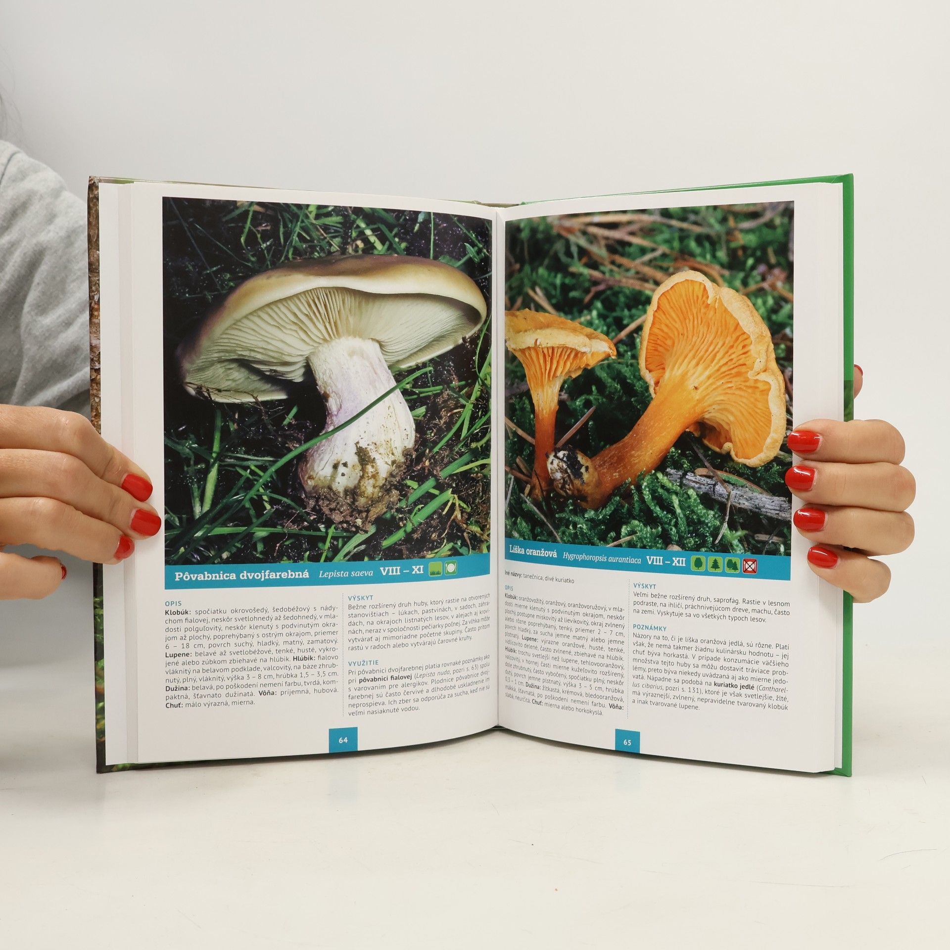 Patrycja Zarawska Hubársky atlas