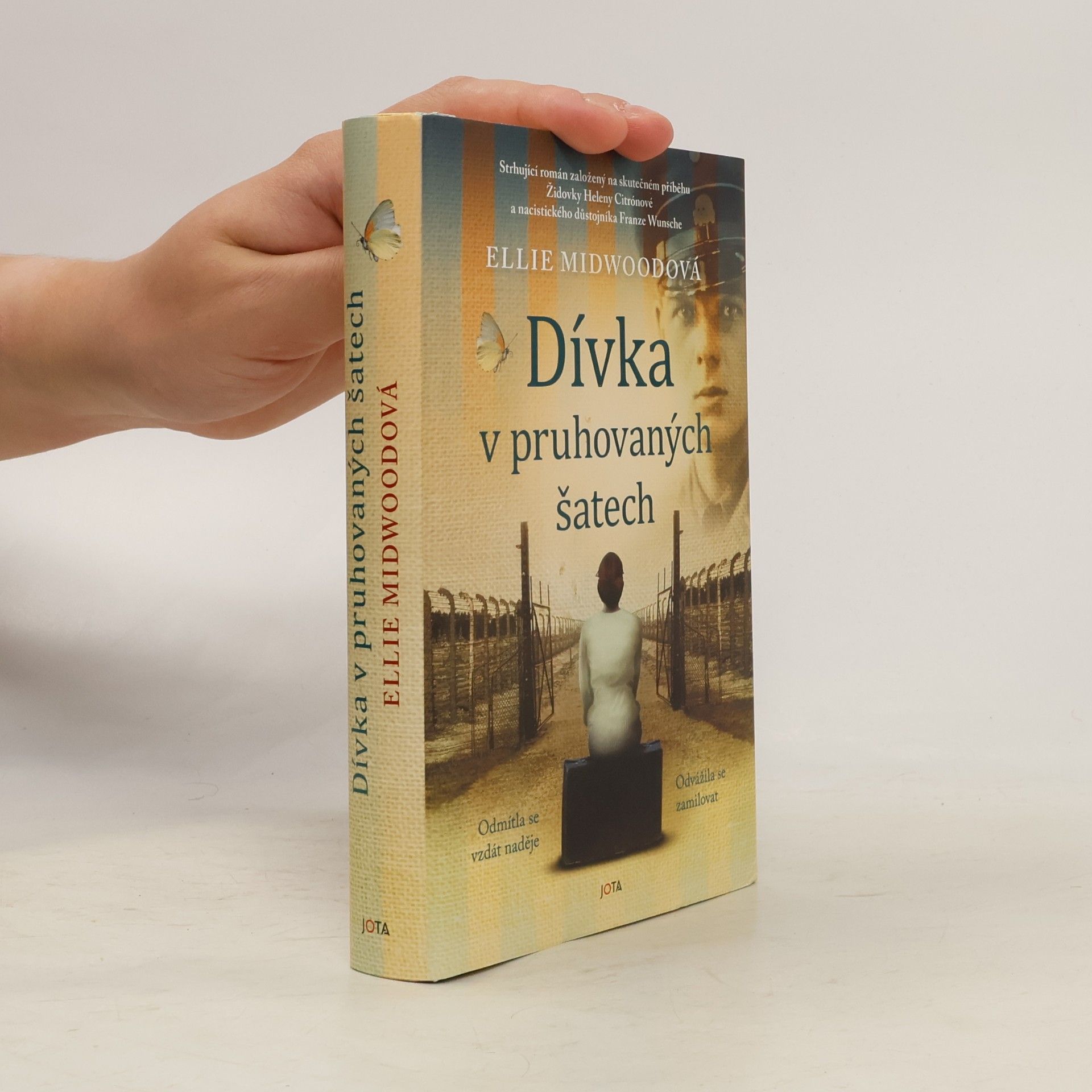 Ellie Midwood Dívka v pruhovaných šatech