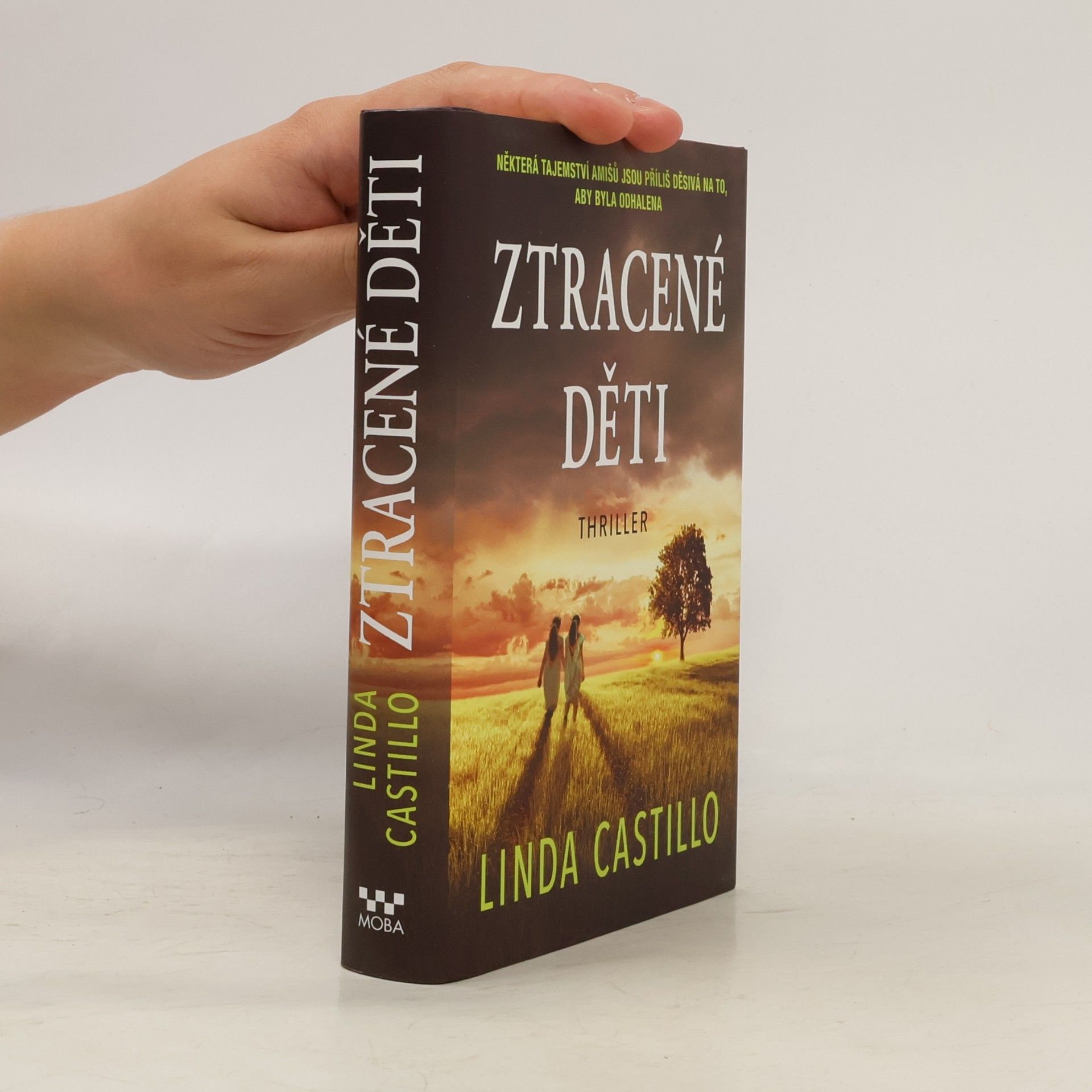 Linda Castillo Ztracené děti