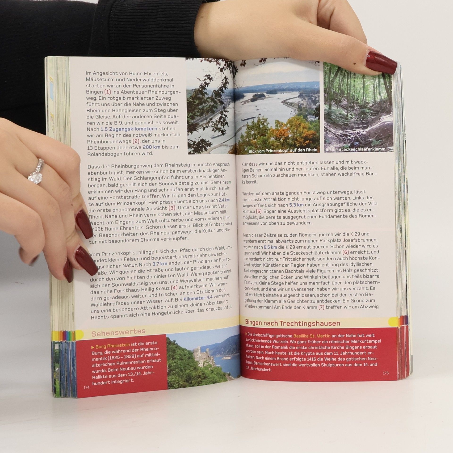 Autorenkollektiv Rheinsteig & Rheinburgenweg