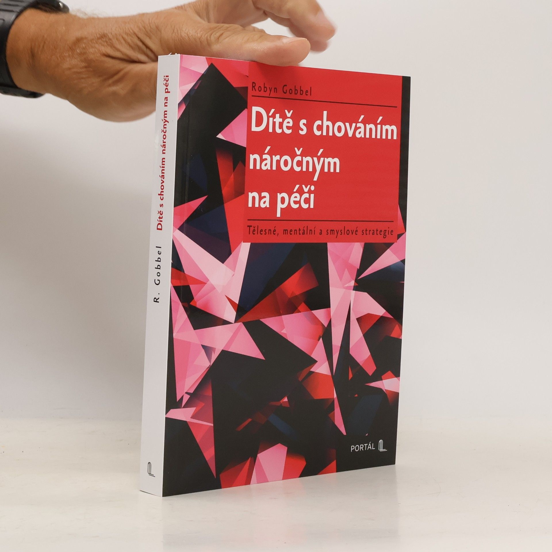 Robyn Gobbel Dítě s chováním náročným na péči