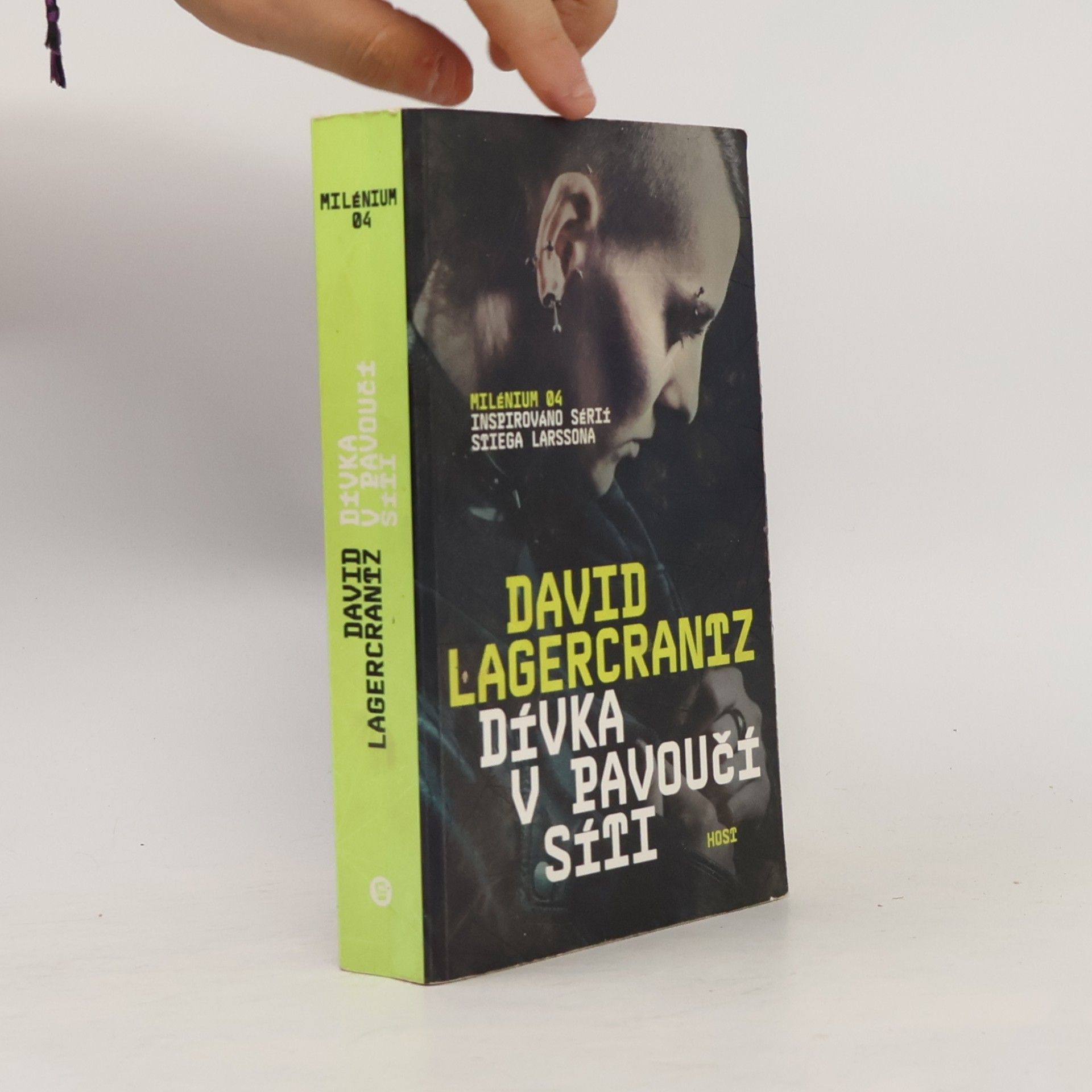 Dívka v pavoučí síti
